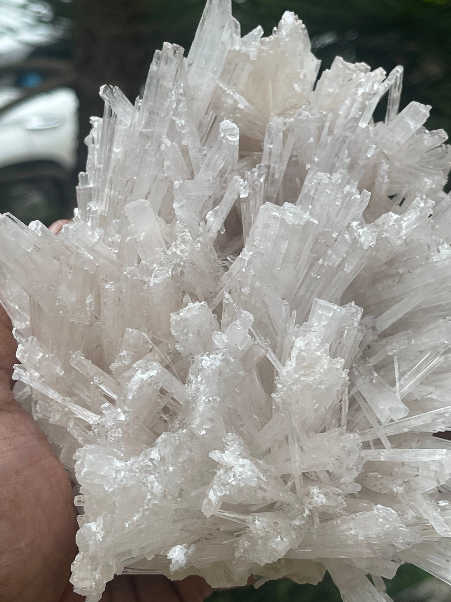 Scolecite flower
