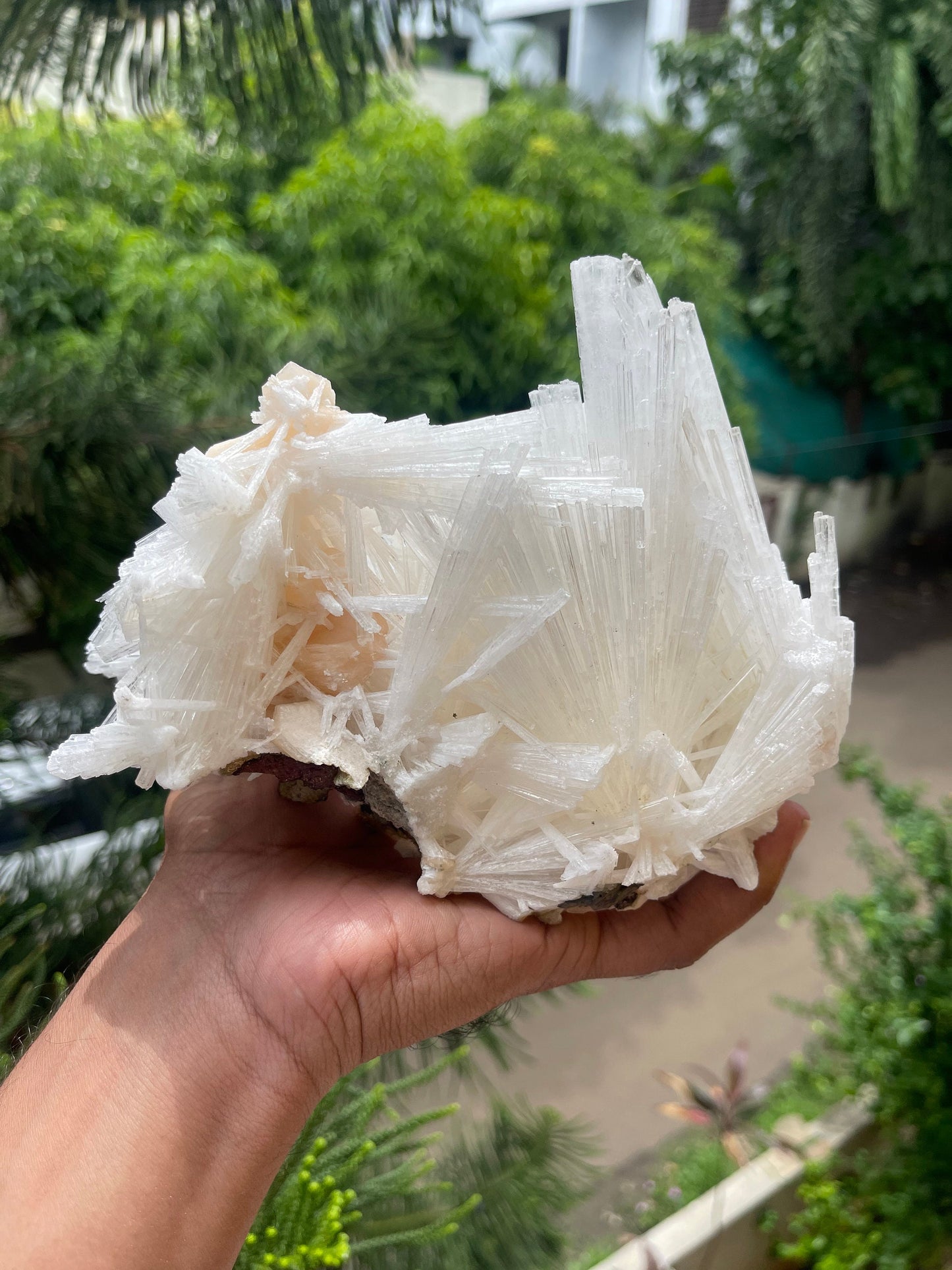 Scolecite spray with stilbite
