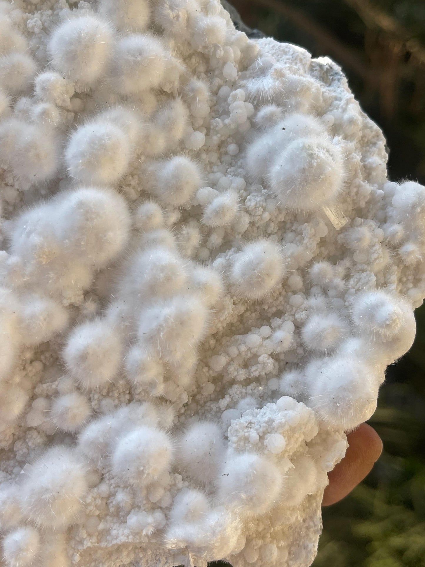 multiple okenite balls on matrix