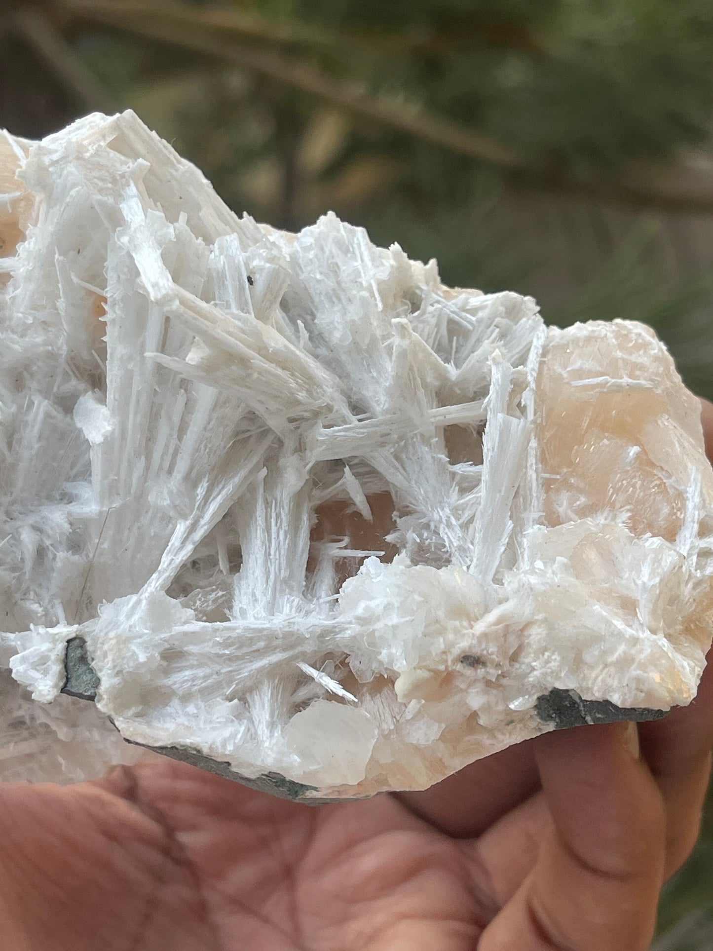 Scolecite spray on stilbite base