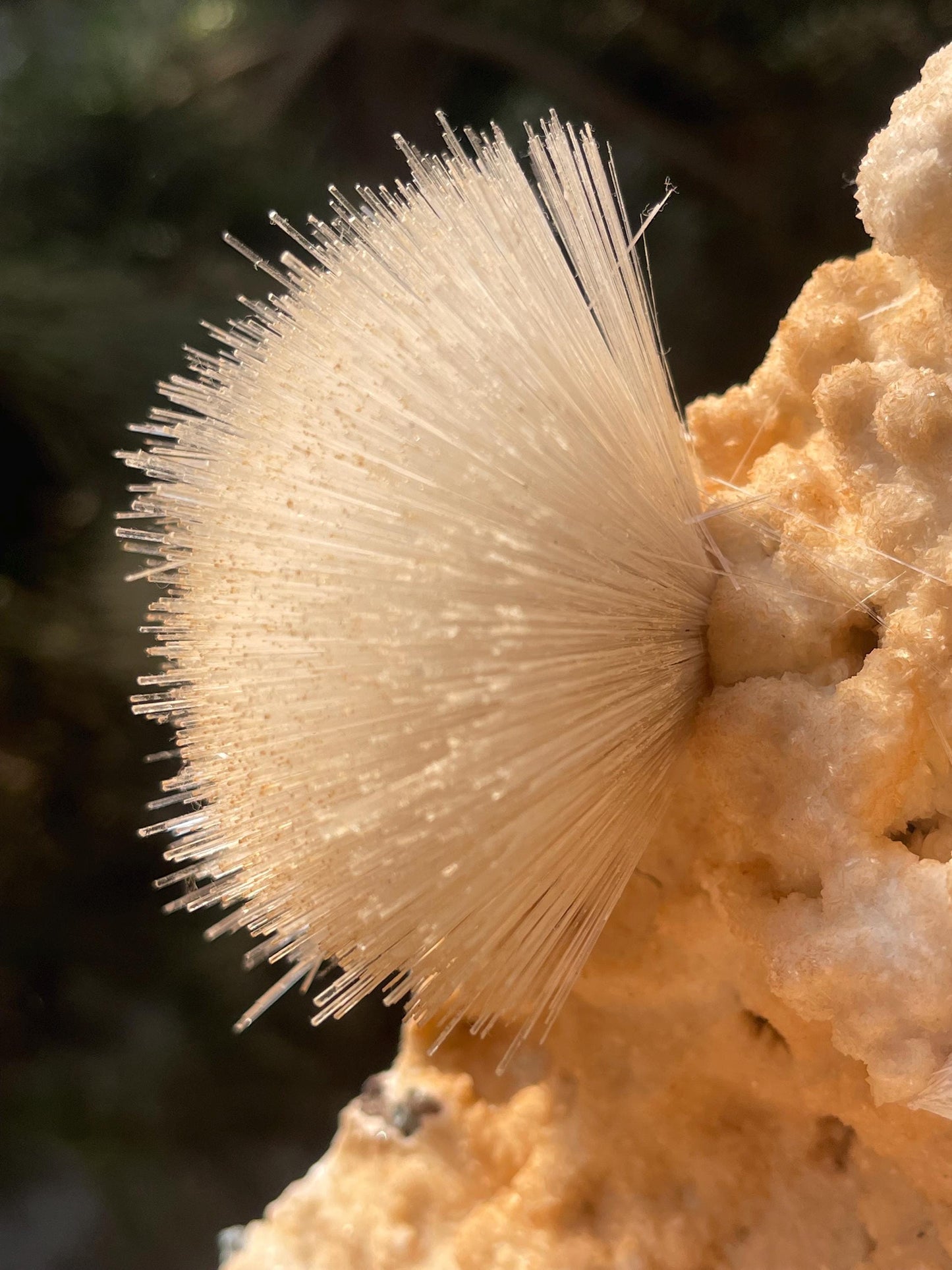 new find perfect mesolite flower on chalcedony matrix