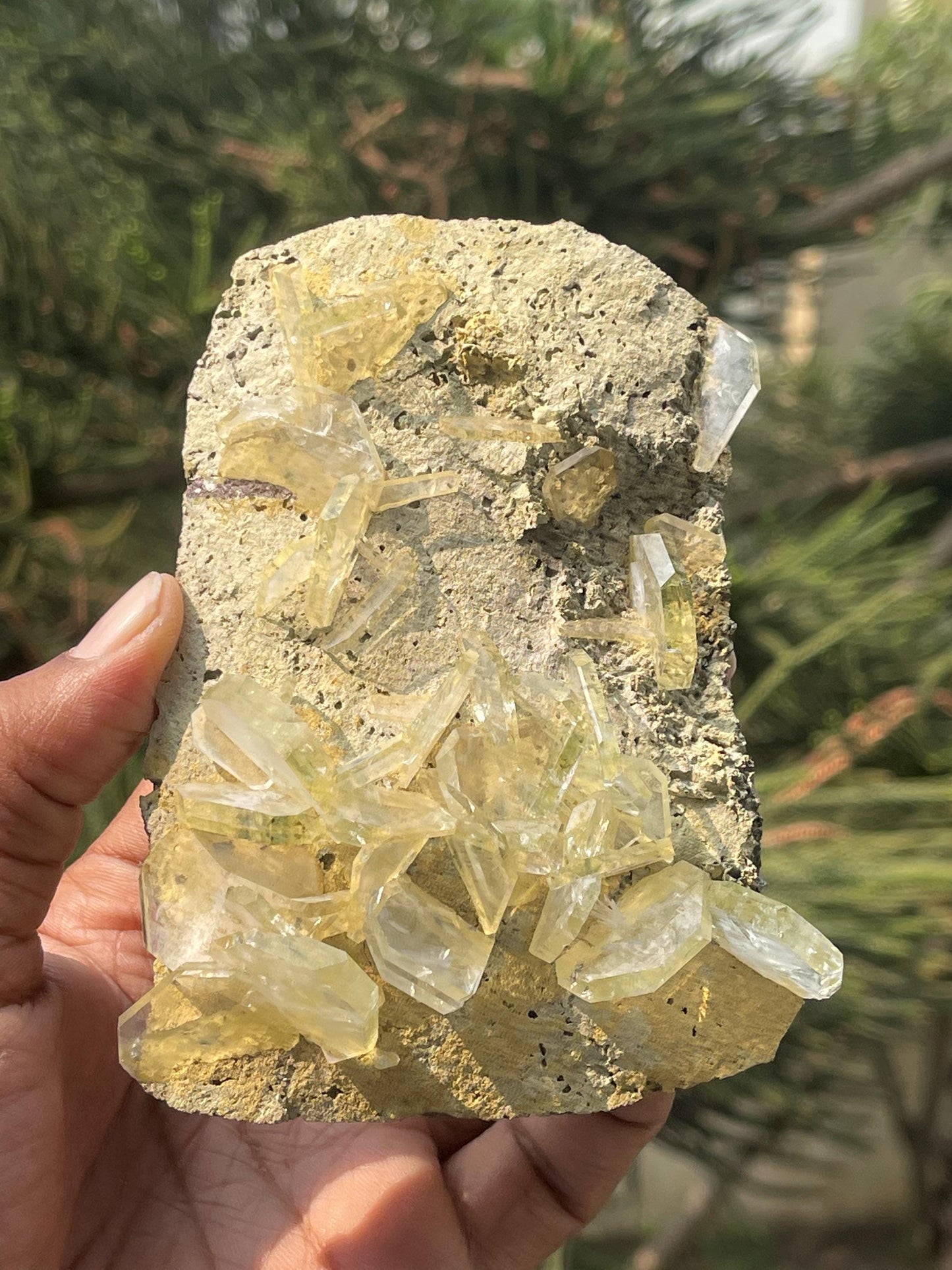 Apophyllite crystals on matrix