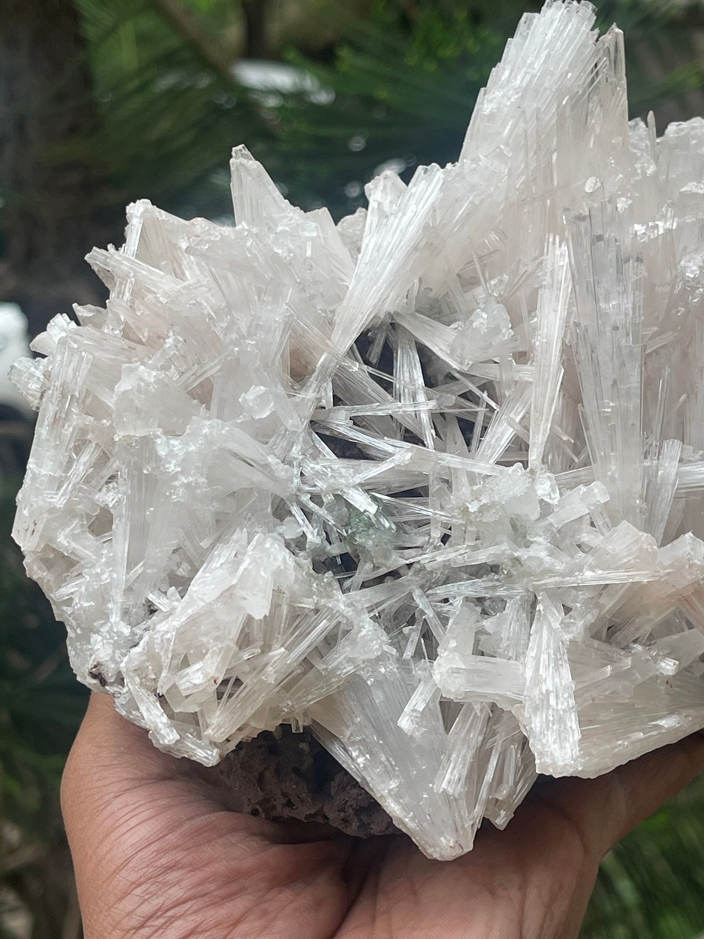 Scolecite spray on matrix with green apophyllite