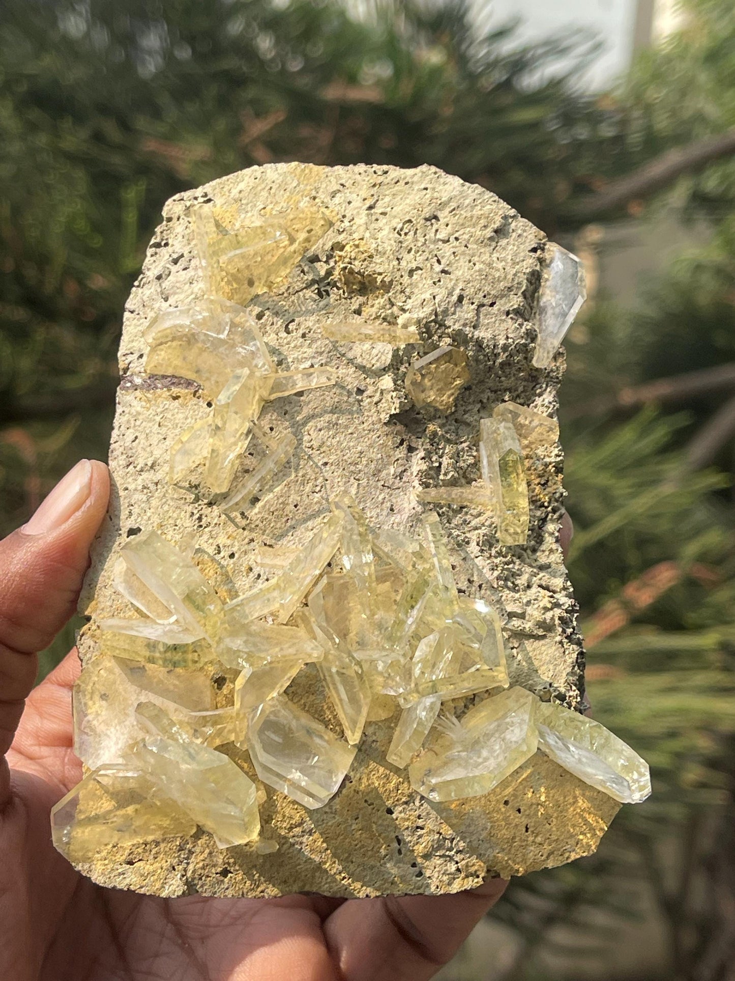 Apophyllite crystals on matrix
