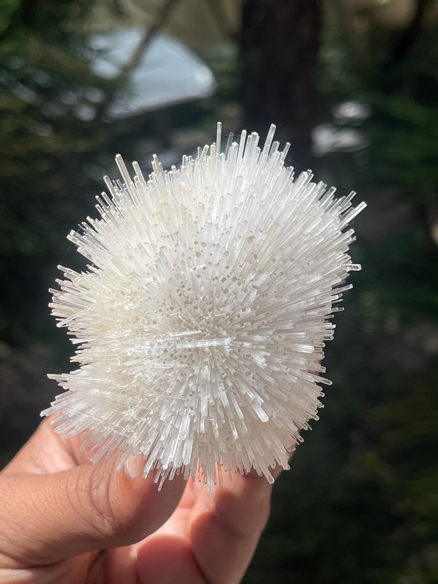 Perfect Natrolite flower