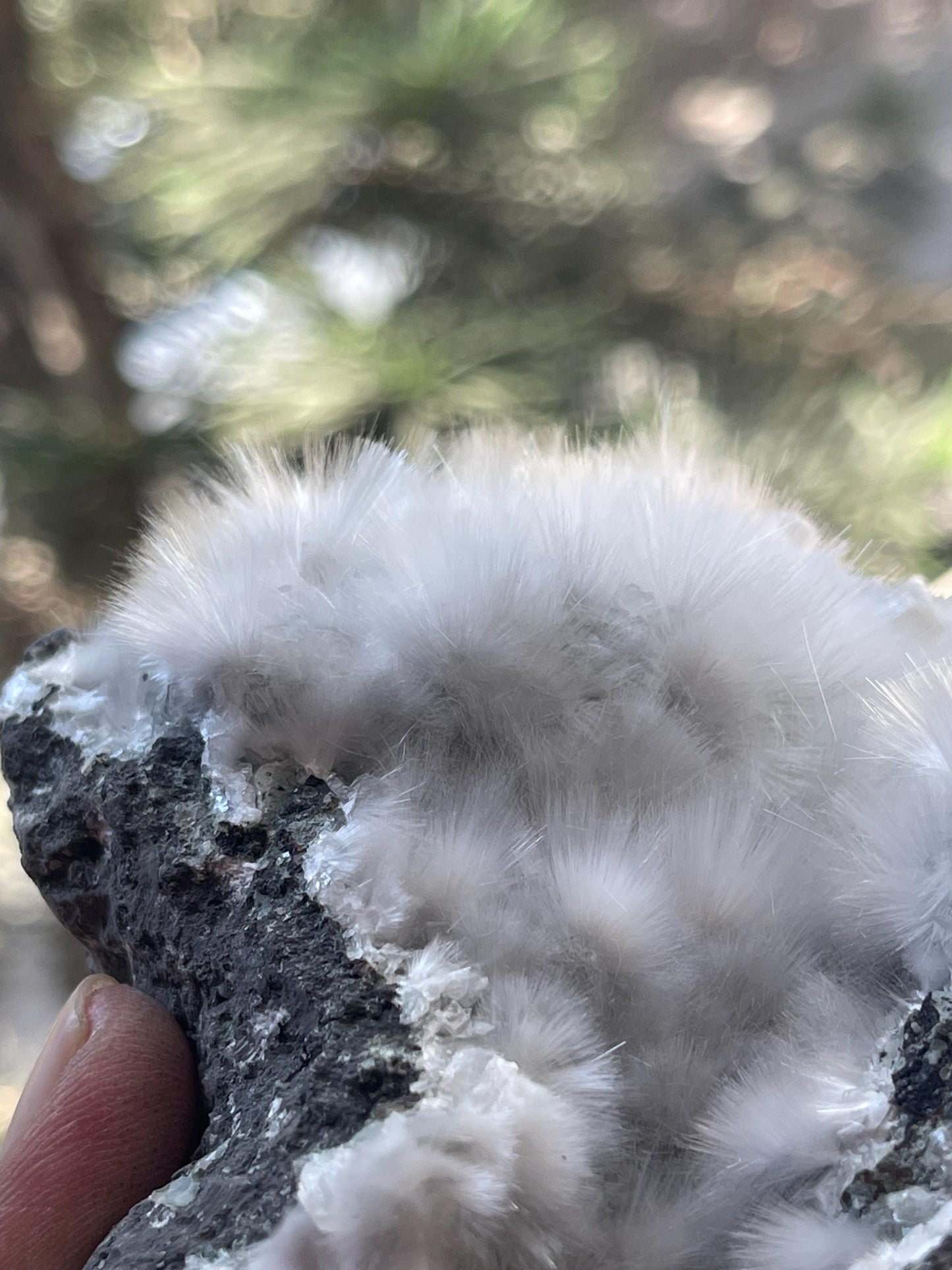 mesolite flowers on matrix new find