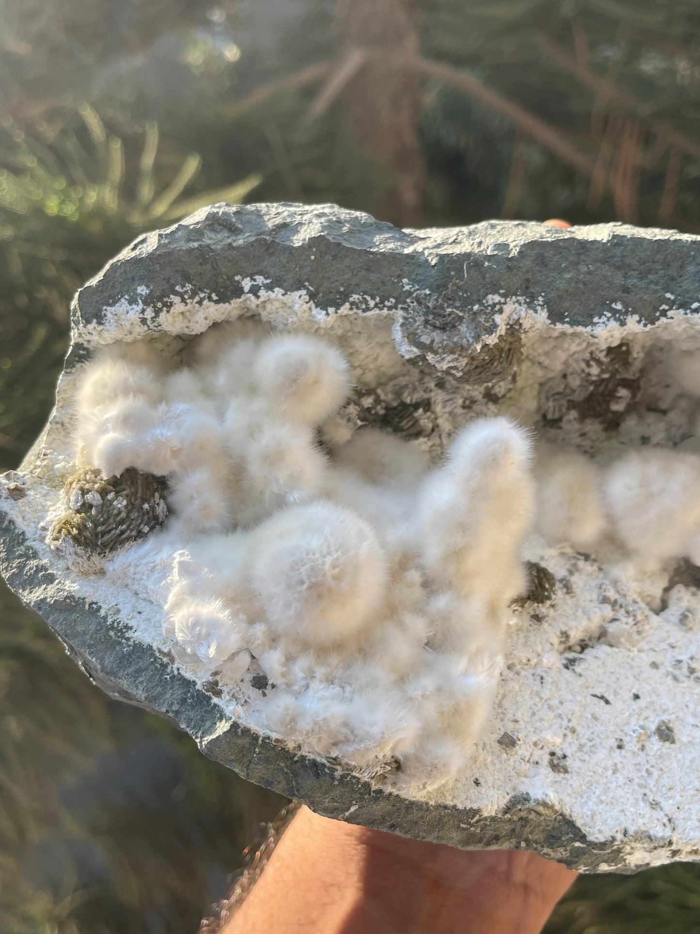 multiple okenite balls inside geode