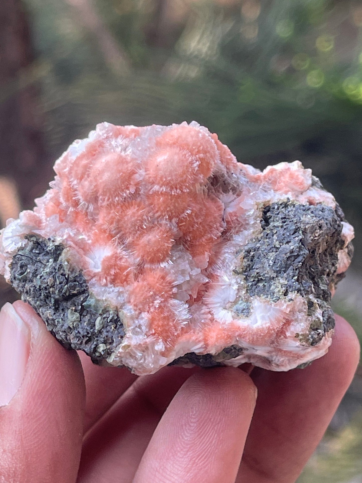 Orange mesolite
