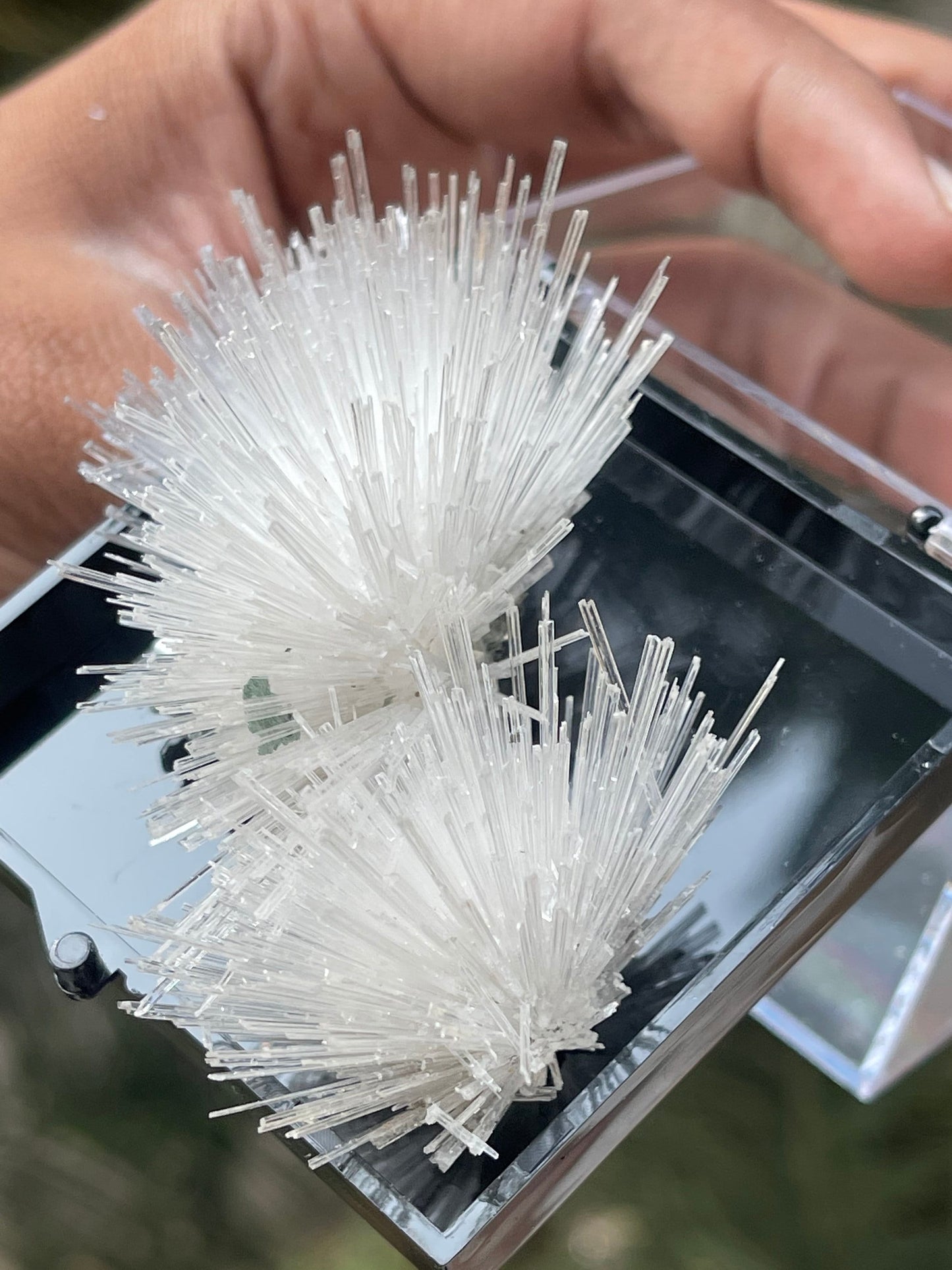 Perfect formation of scolecite flowers on matrix