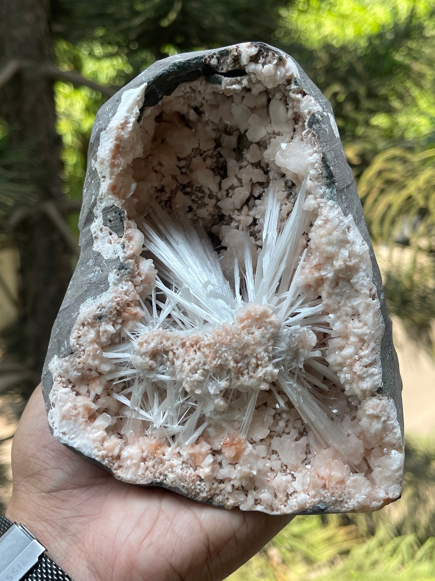 Scolecite spray with orange heulandite crystals inside geode natural specimen