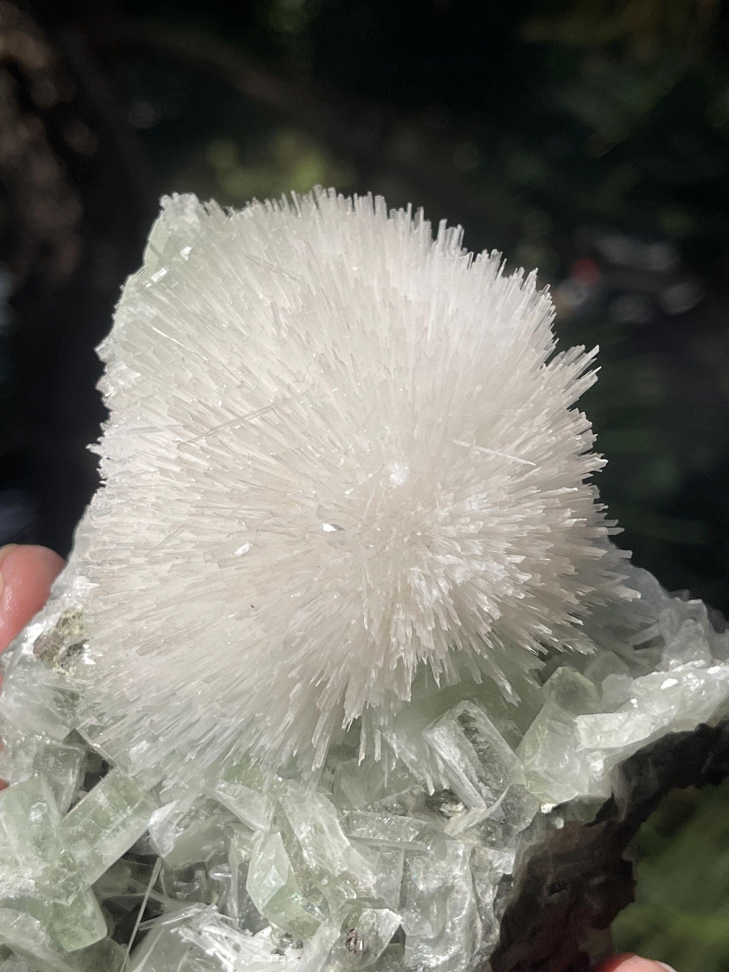 Mesolite flower on light green apophyllite