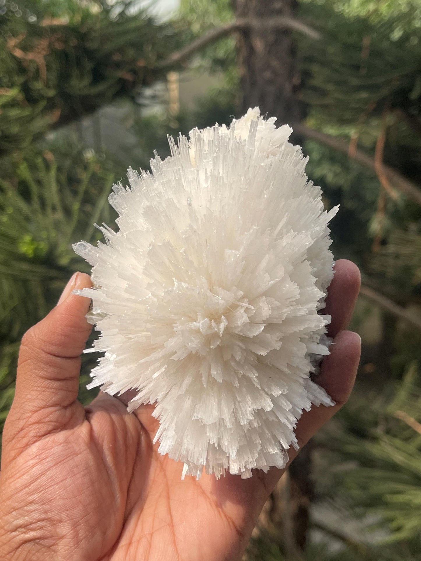 Perfect round of scolecite flower natural specimen
