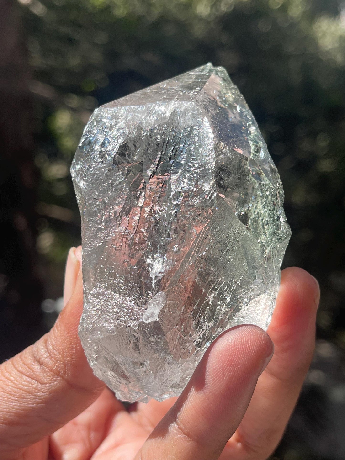 Rare Himalayan Cathedral Quartz Crystal with Green Chlorite – High-Energy Healing crystal