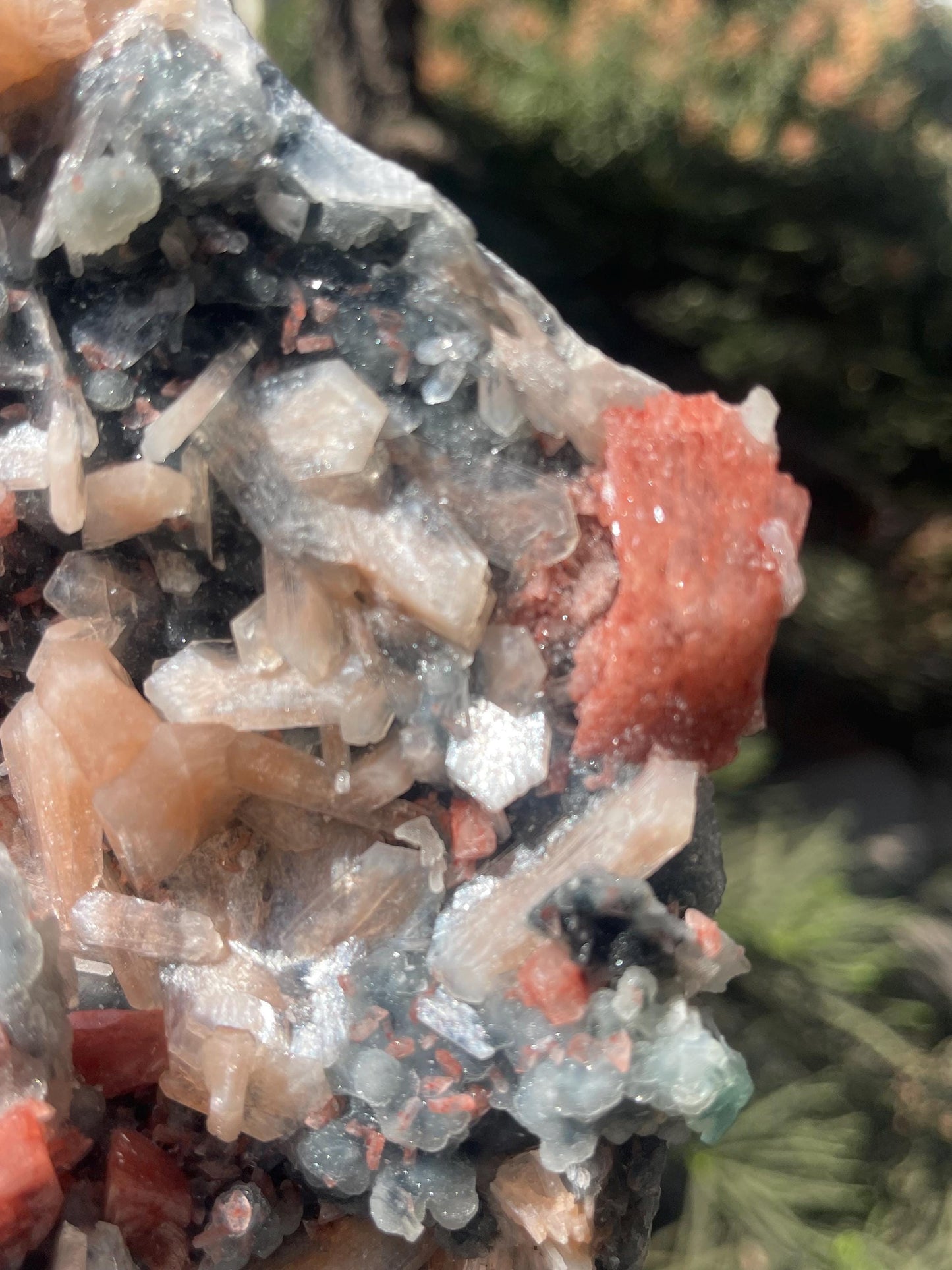 brown heulandite crystal on black coral with stilbite
