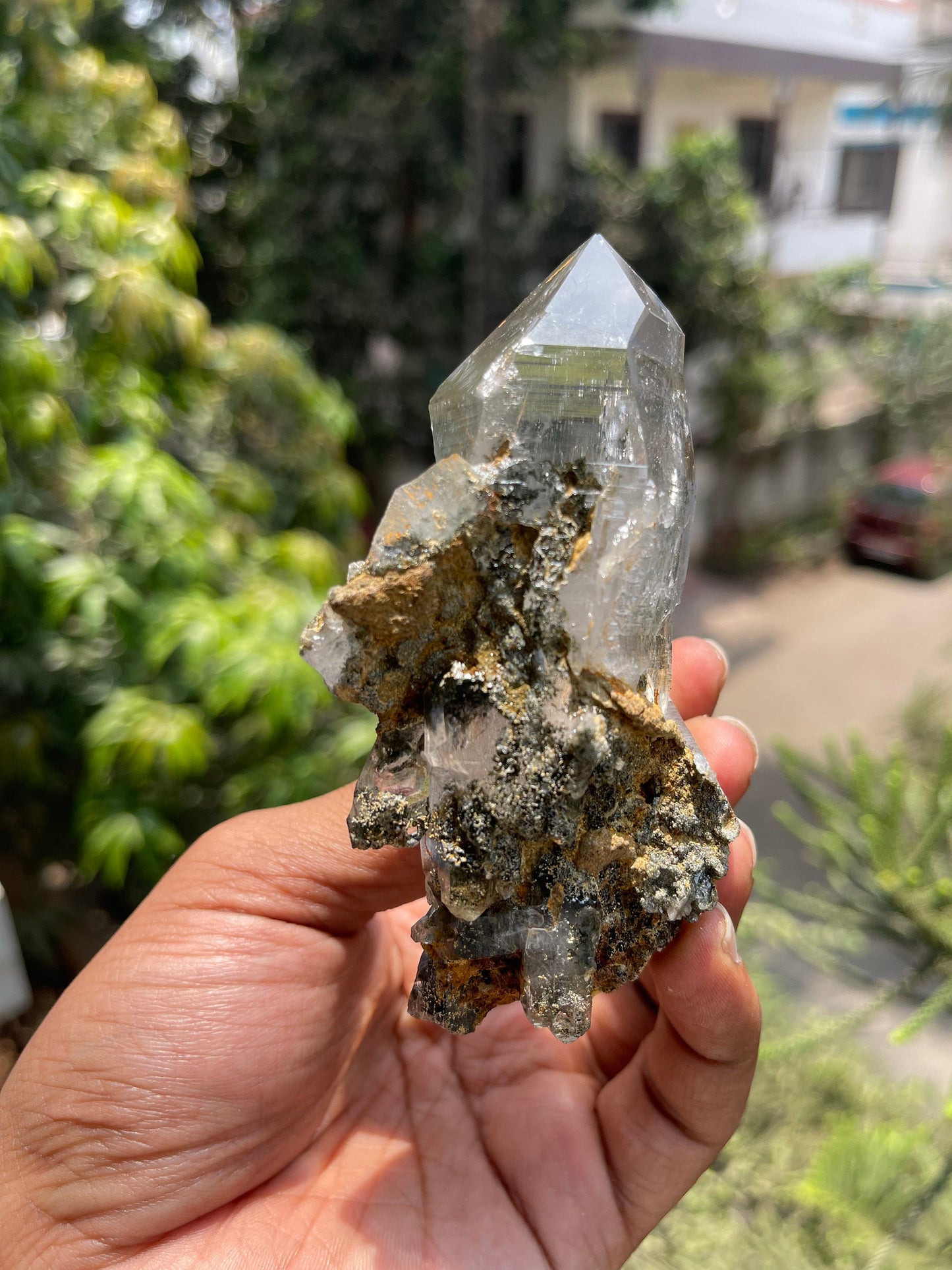 Twin Himalayan Chlorite Quartz Crystal with golden rutile