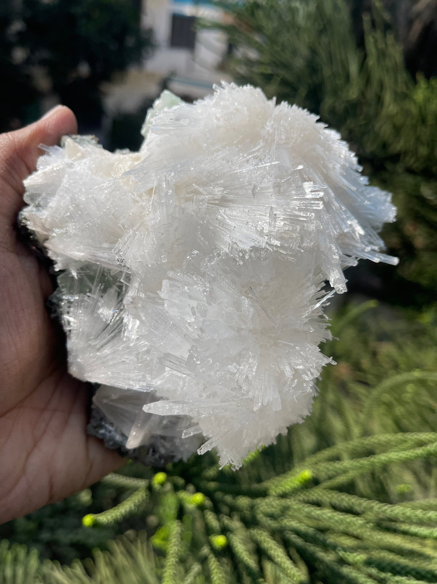 Scolecite with green apophyllite on matrix