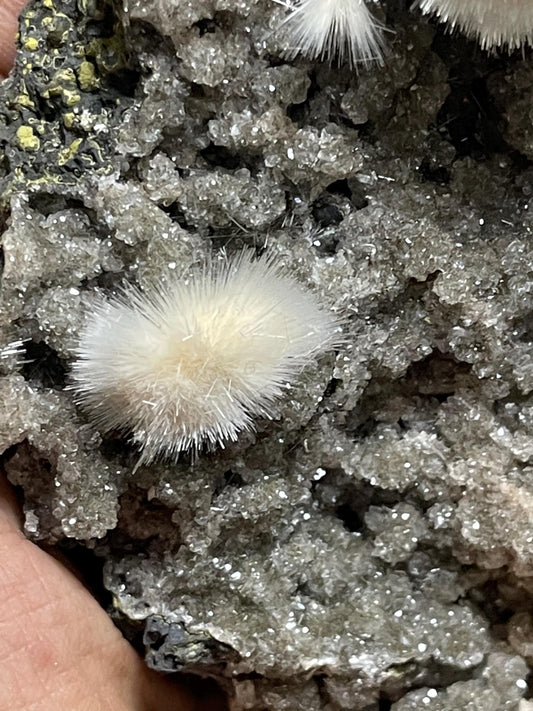 Mesolite flower on black chalcedony matrix natural specimen
