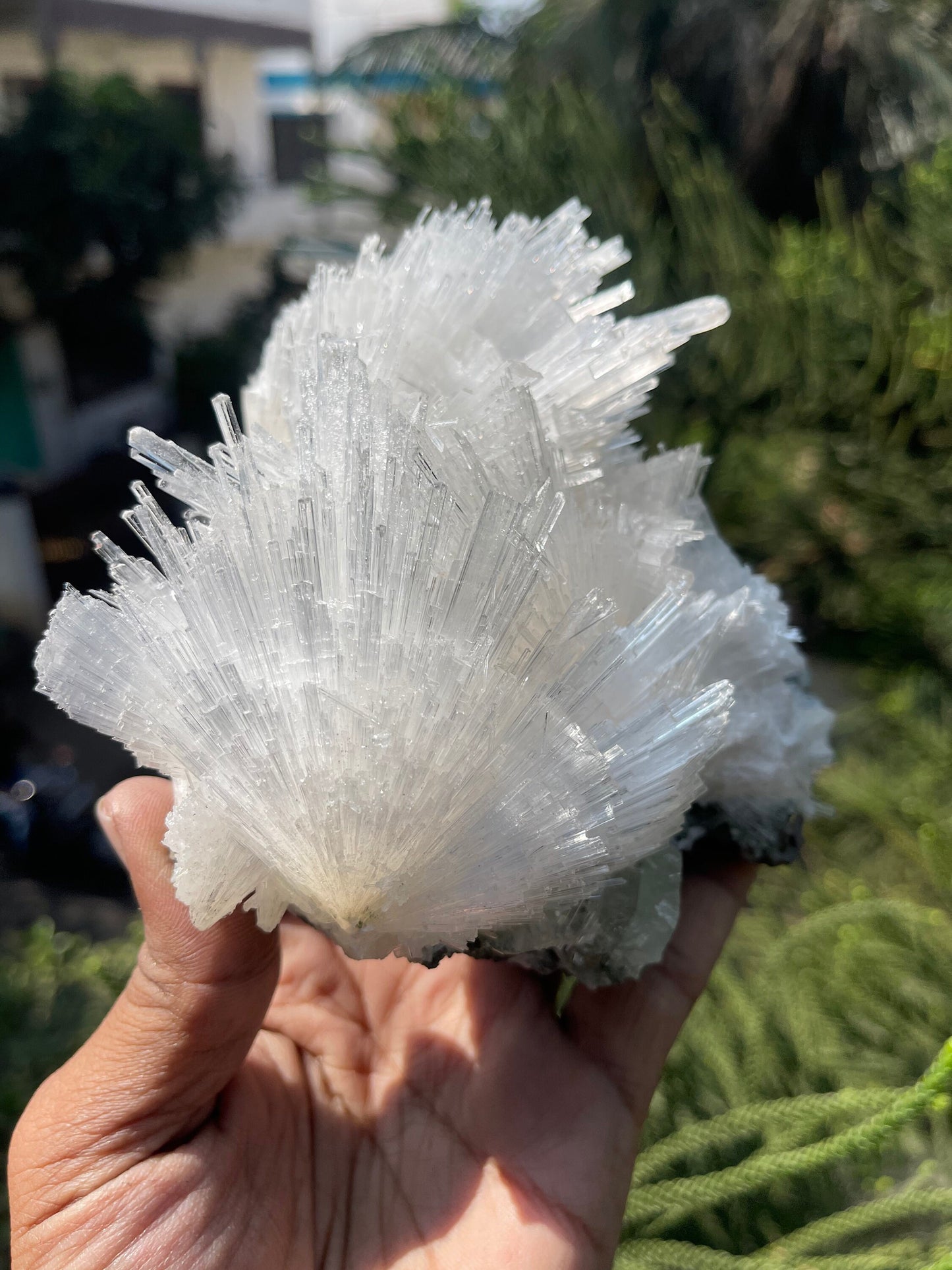 Scolecite with green apophyllite on matrix