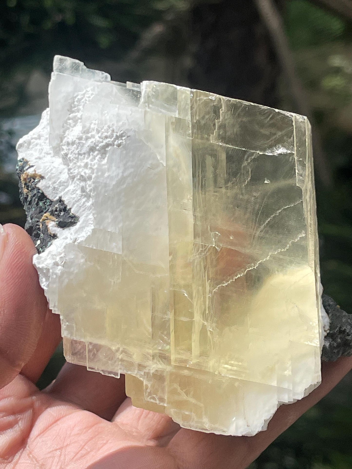 Golden calcite crystal inside mordenite with rainbow