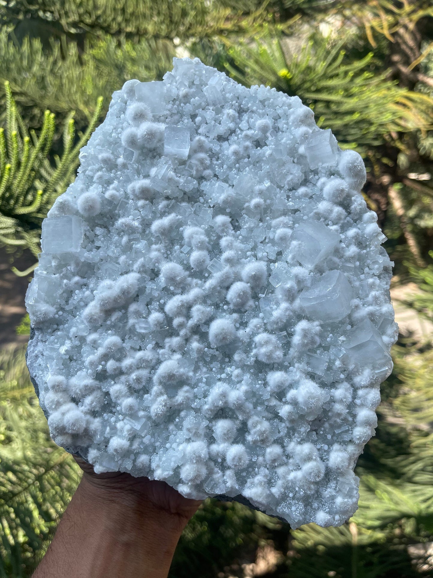 Multiple okenite balls with apophyllite crystal natural specimen