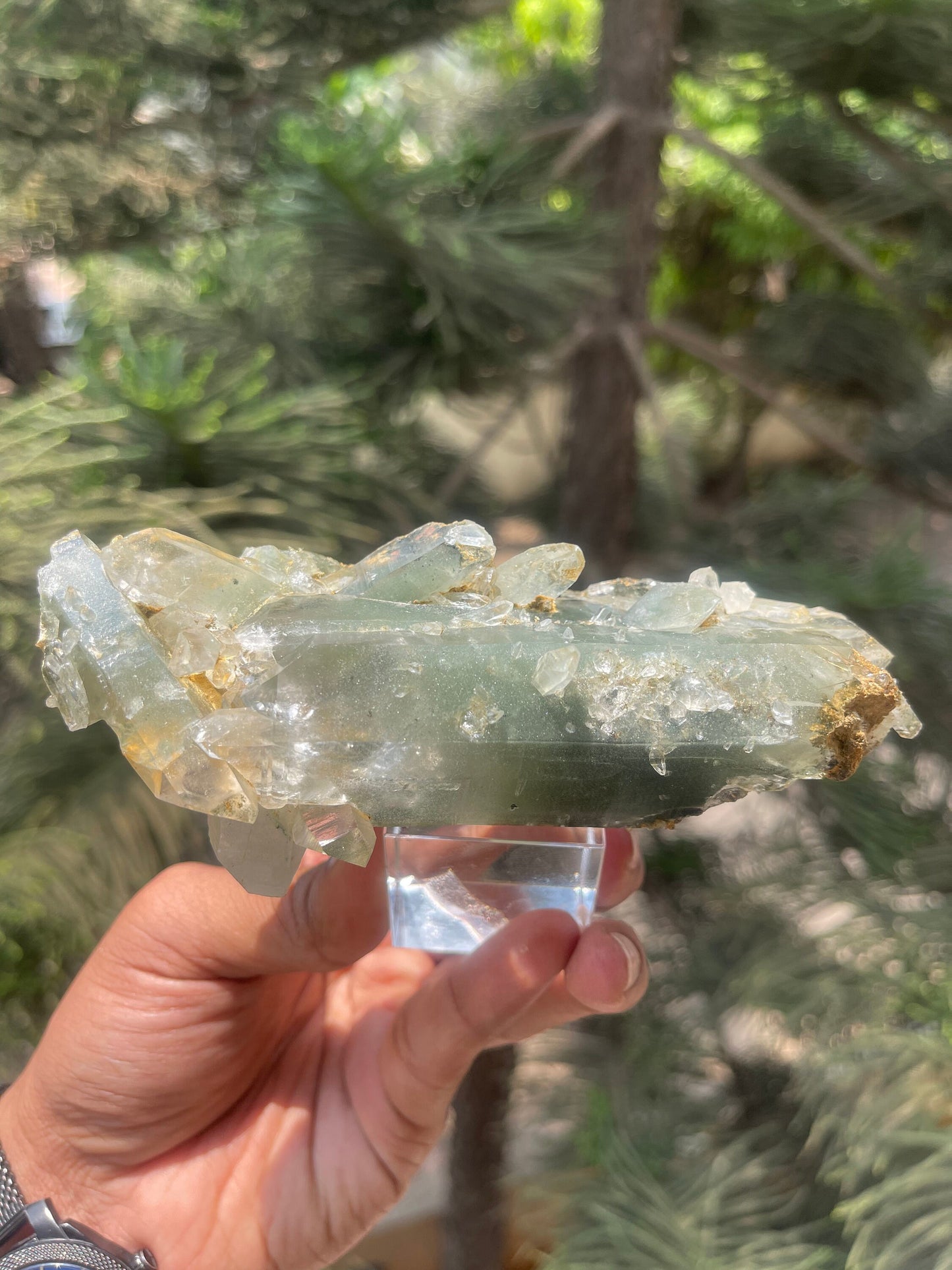 Himalayan quartz, double terminated crystal with chlorite