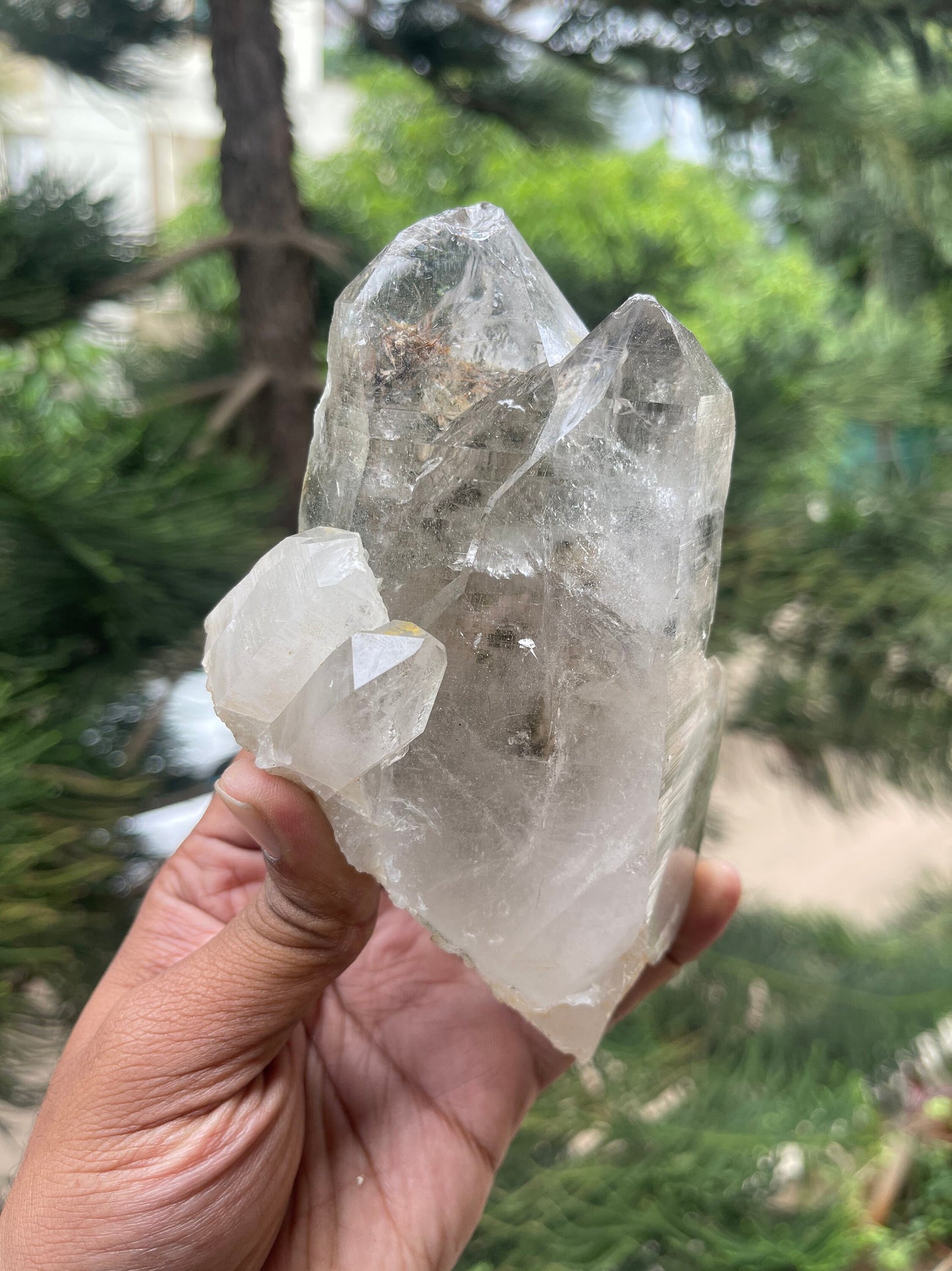 Twin clear cathedral Himalayan quartz with golden rutile