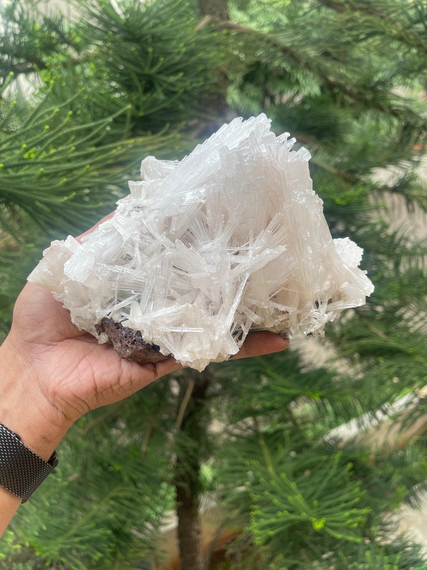 Scolecite spray #1