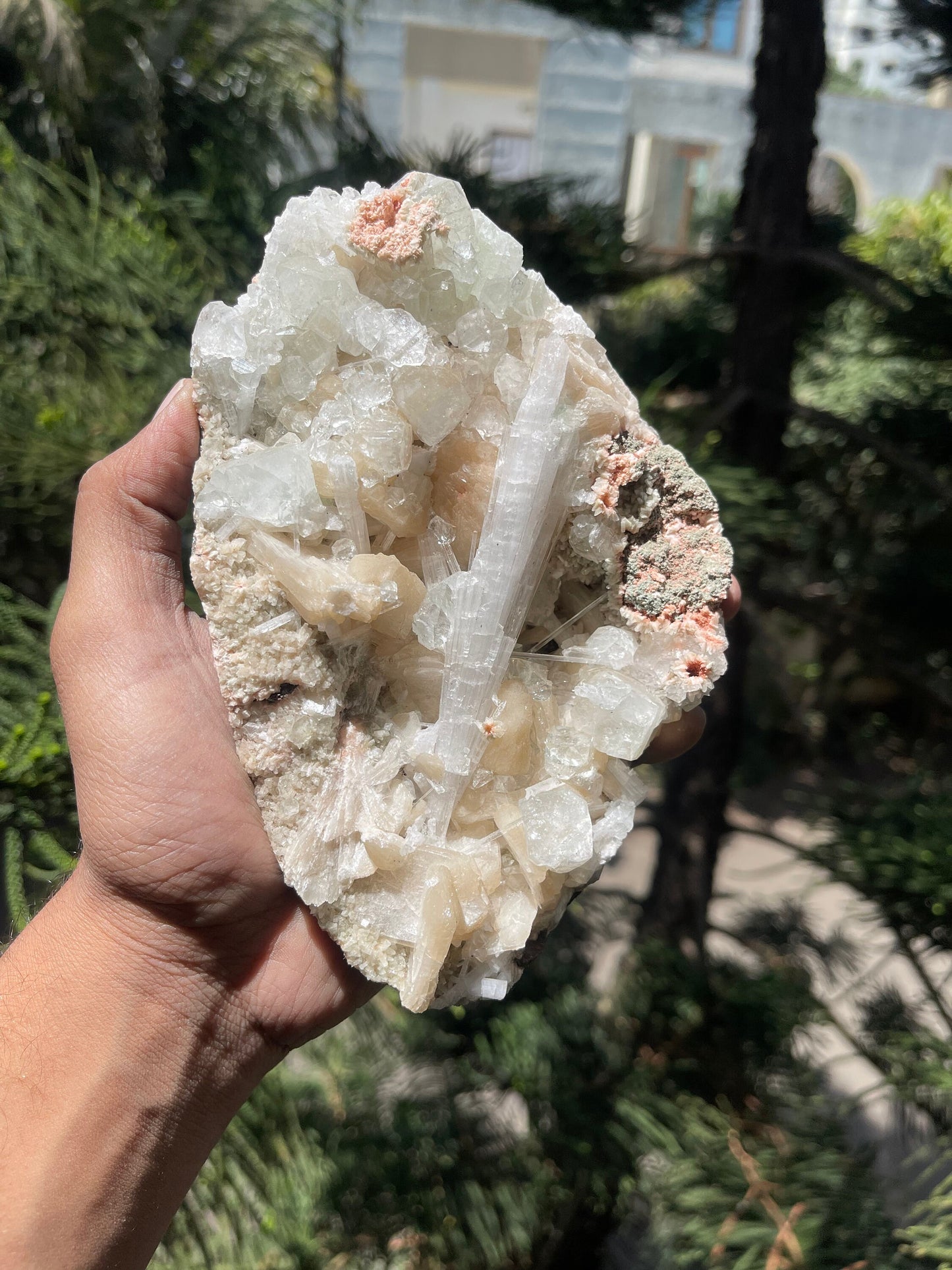 Scolecite spray with stilbite/ apophyllite crystals