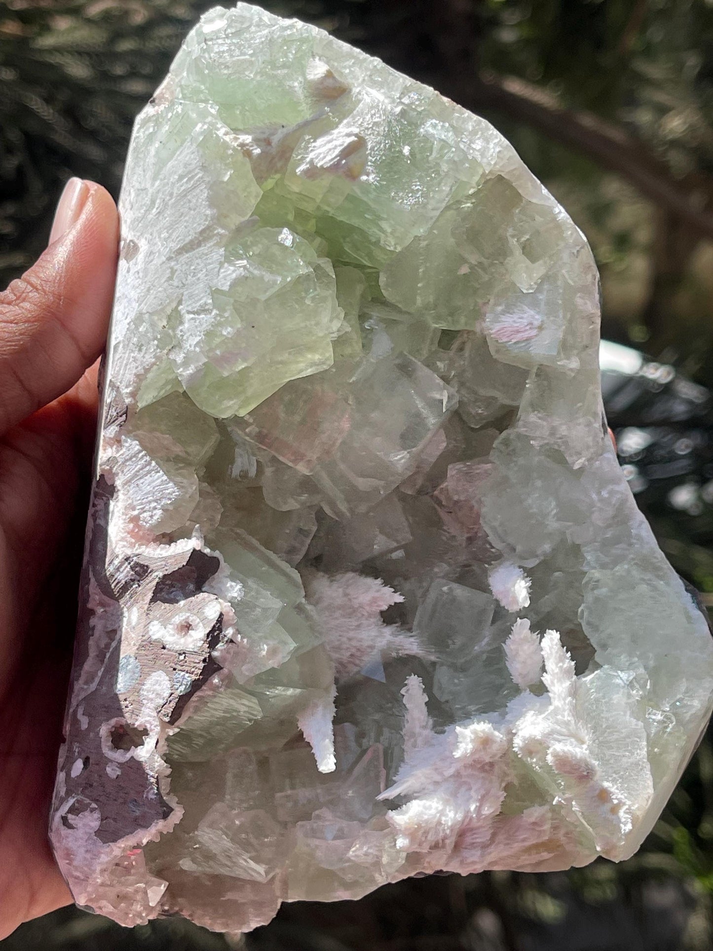 okenite mineral on green apophyllite matrix