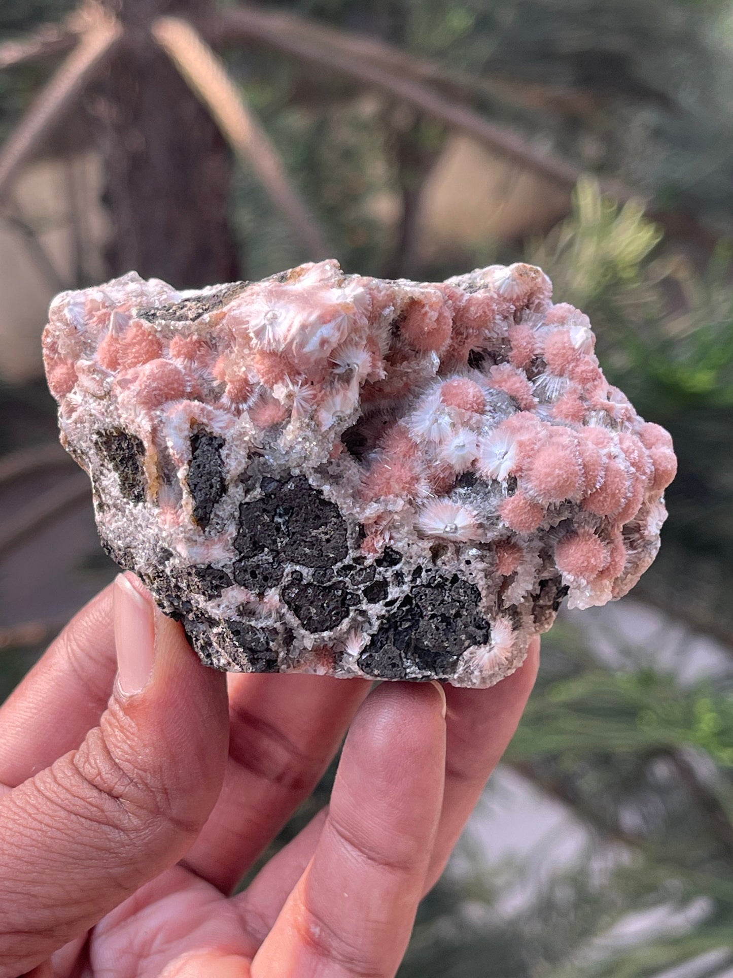 Multiple orange mesolite ball on matrix
