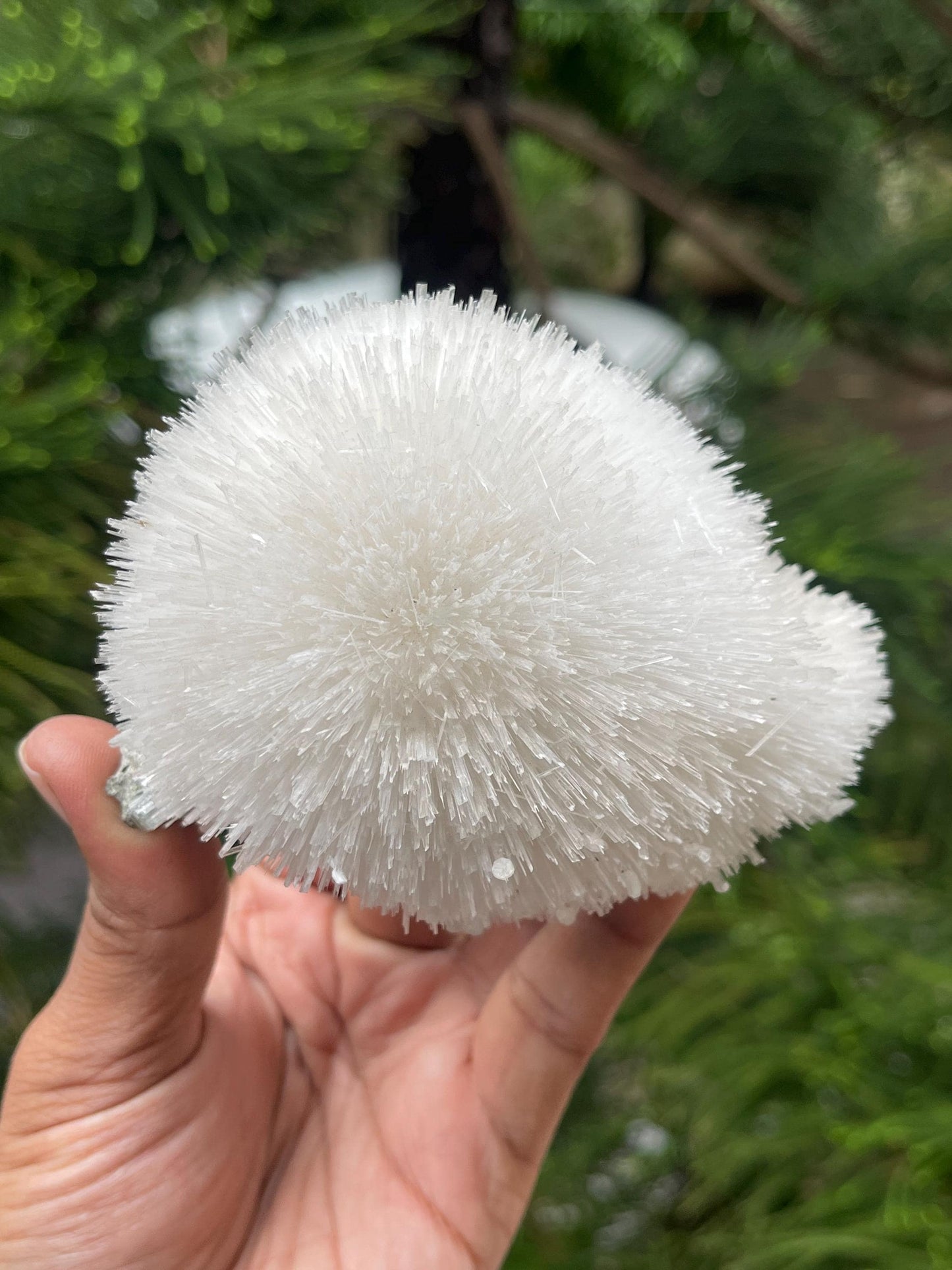 Perfect round shape flower of mesolite