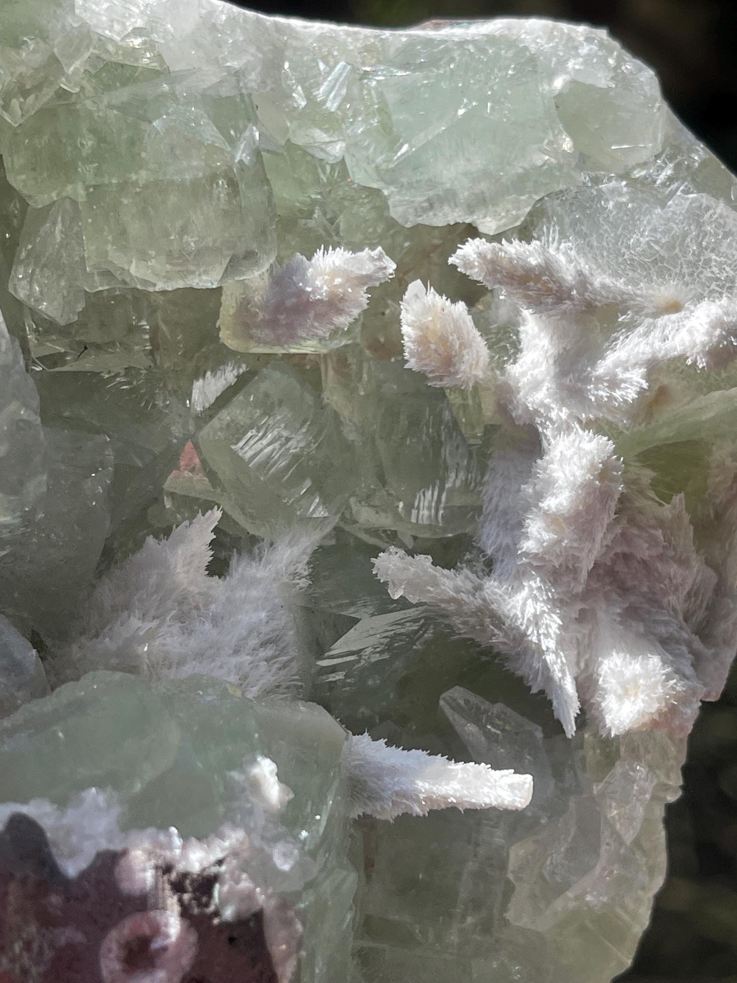 okenite mineral on green apophyllite matrix