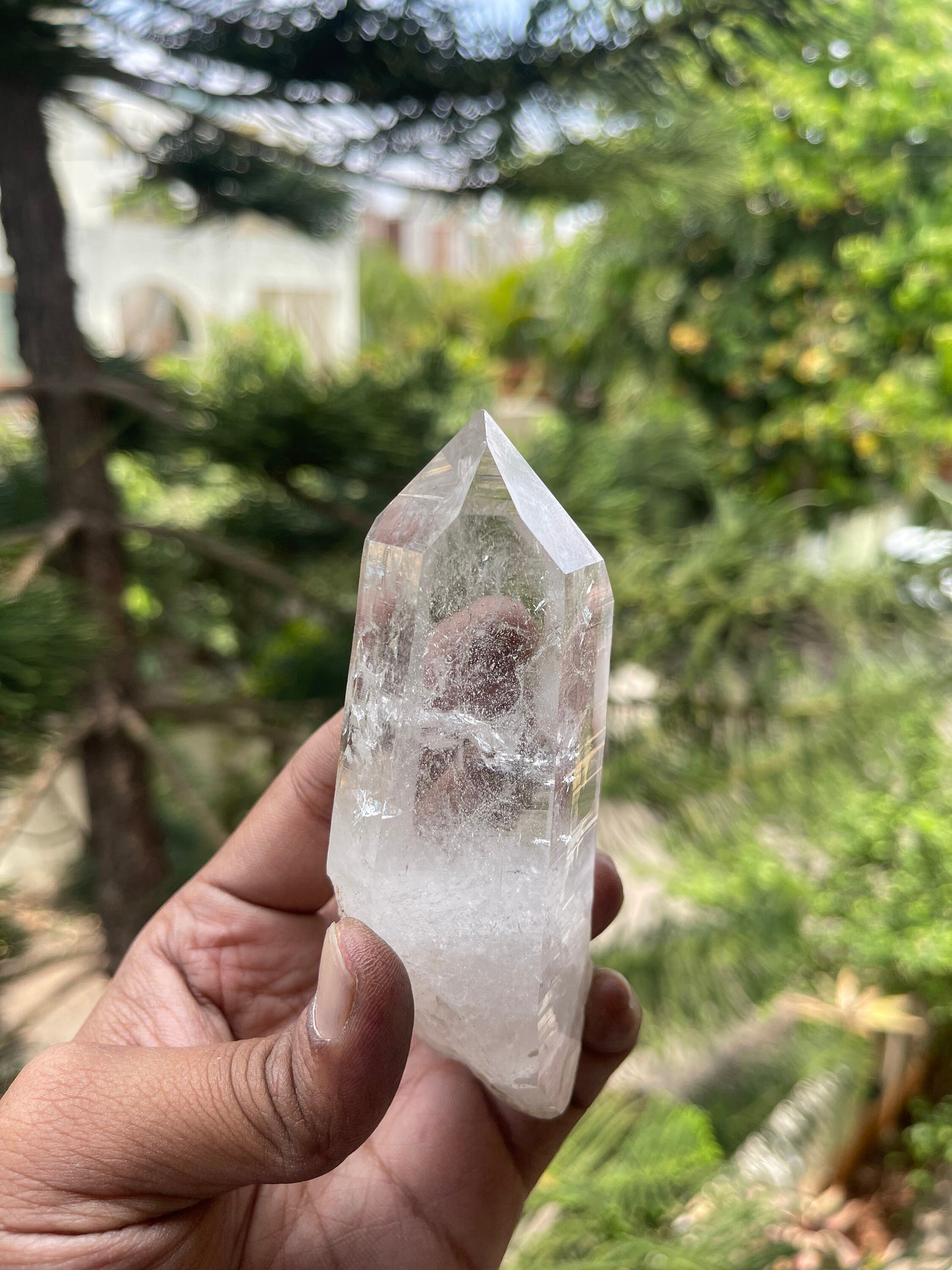 Amazing Clarity Himalayan Cathedral Quartz Crystal