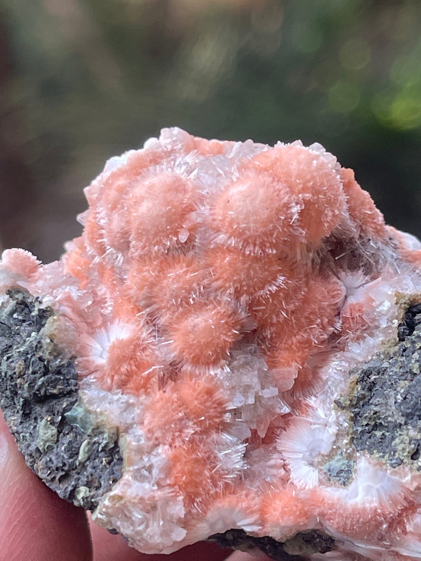 Orange mesolite
