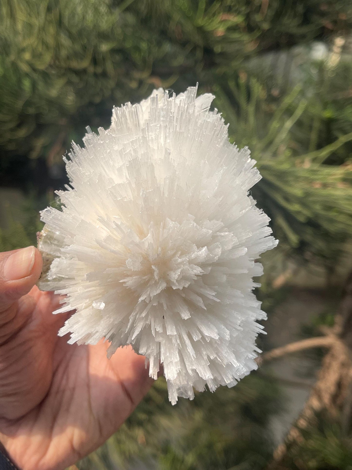 Perfect round of scolecite flower natural specimen