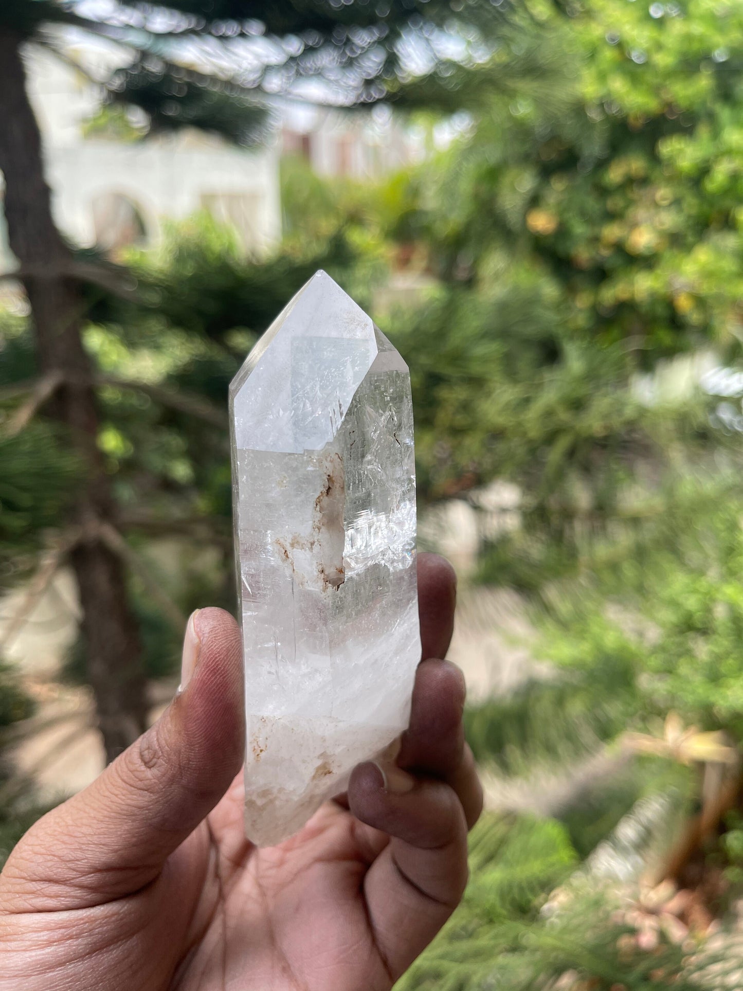 Amazing Clarity Himalayan Cathedral Quartz Crystal