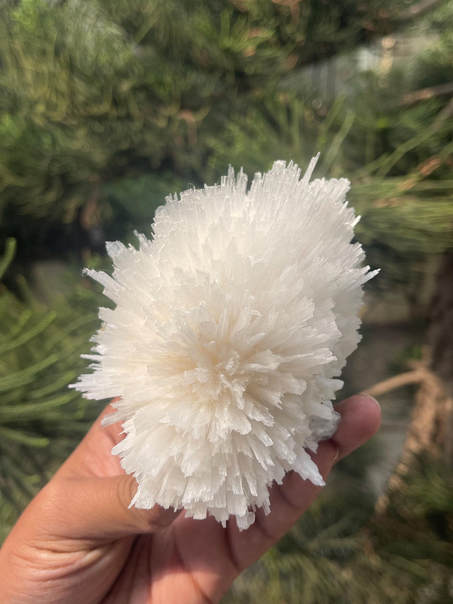 Perfect round of scolecite flower natural specimen