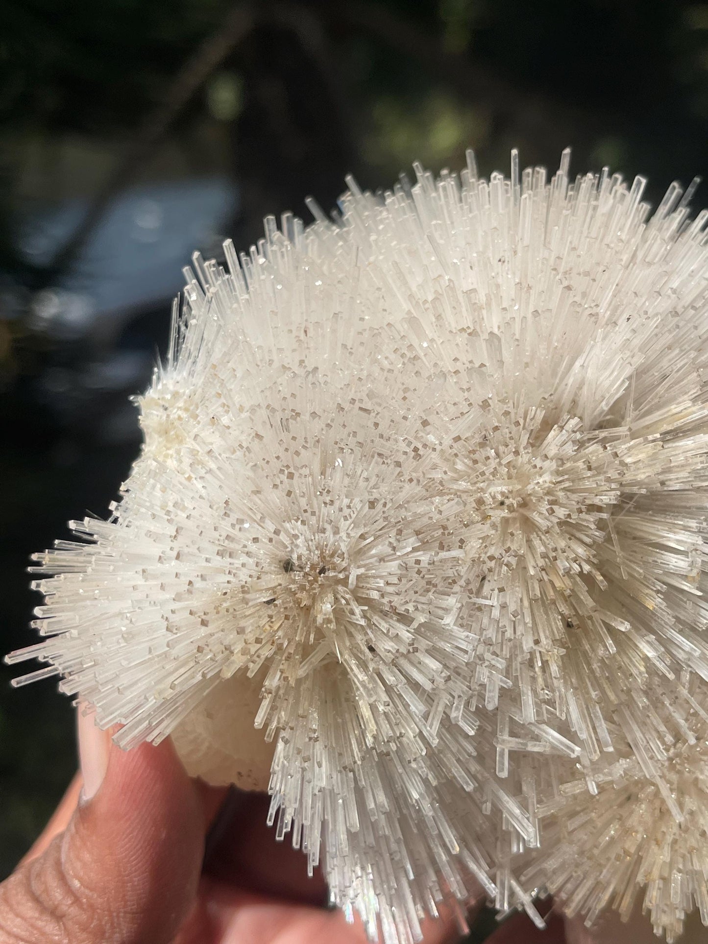 Perfect natrolite flower on stilbite