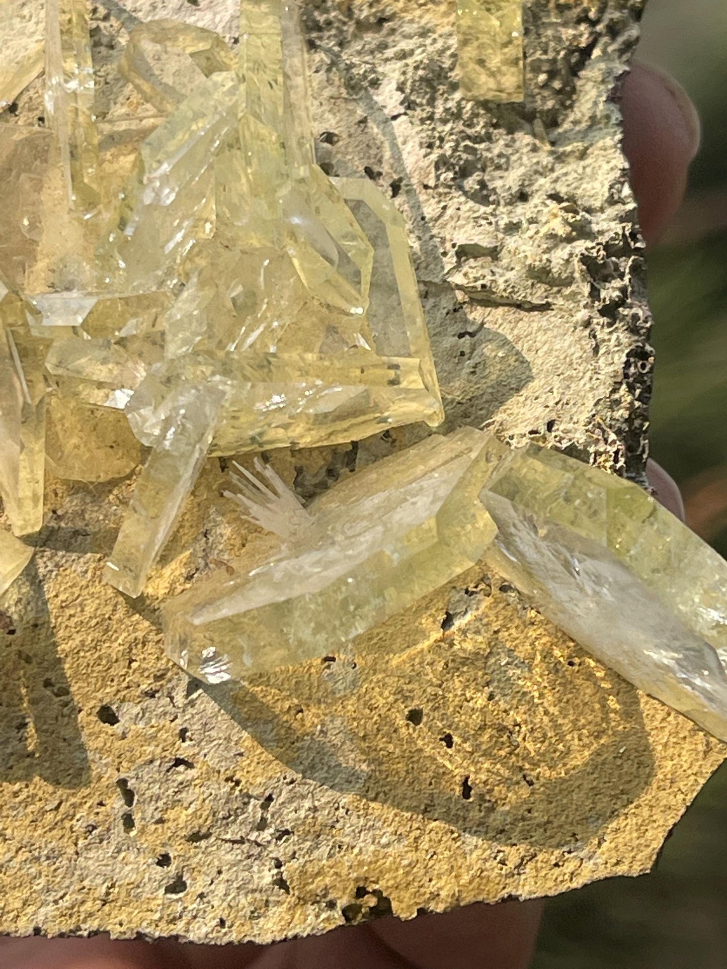 Apophyllite crystals on matrix