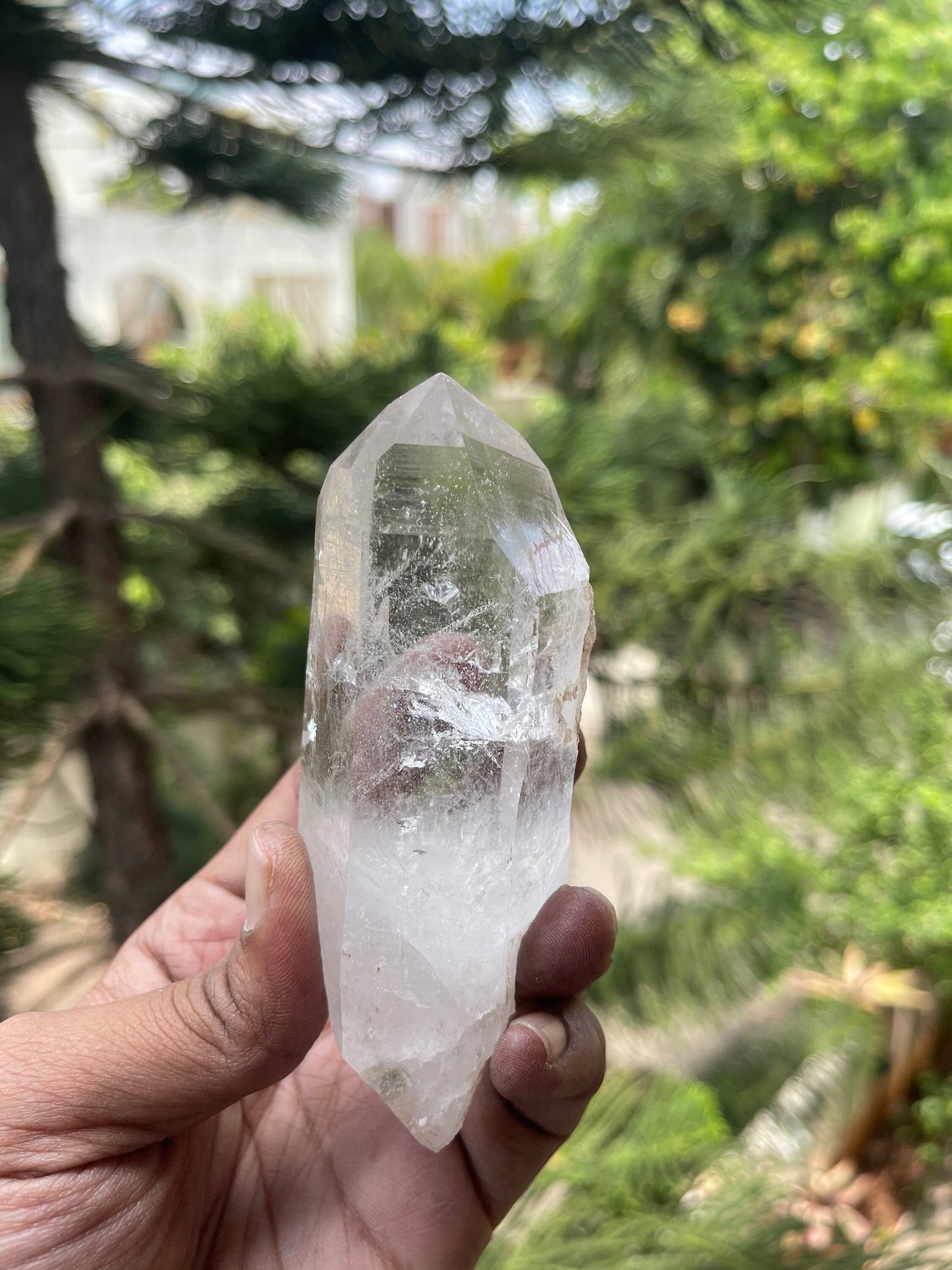 Amazing Clarity Himalayan Cathedral Quartz Crystal