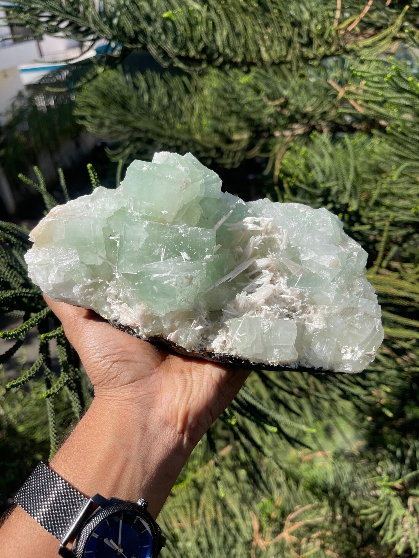 Green cubicle apophyllite with scolecite minerals specimen