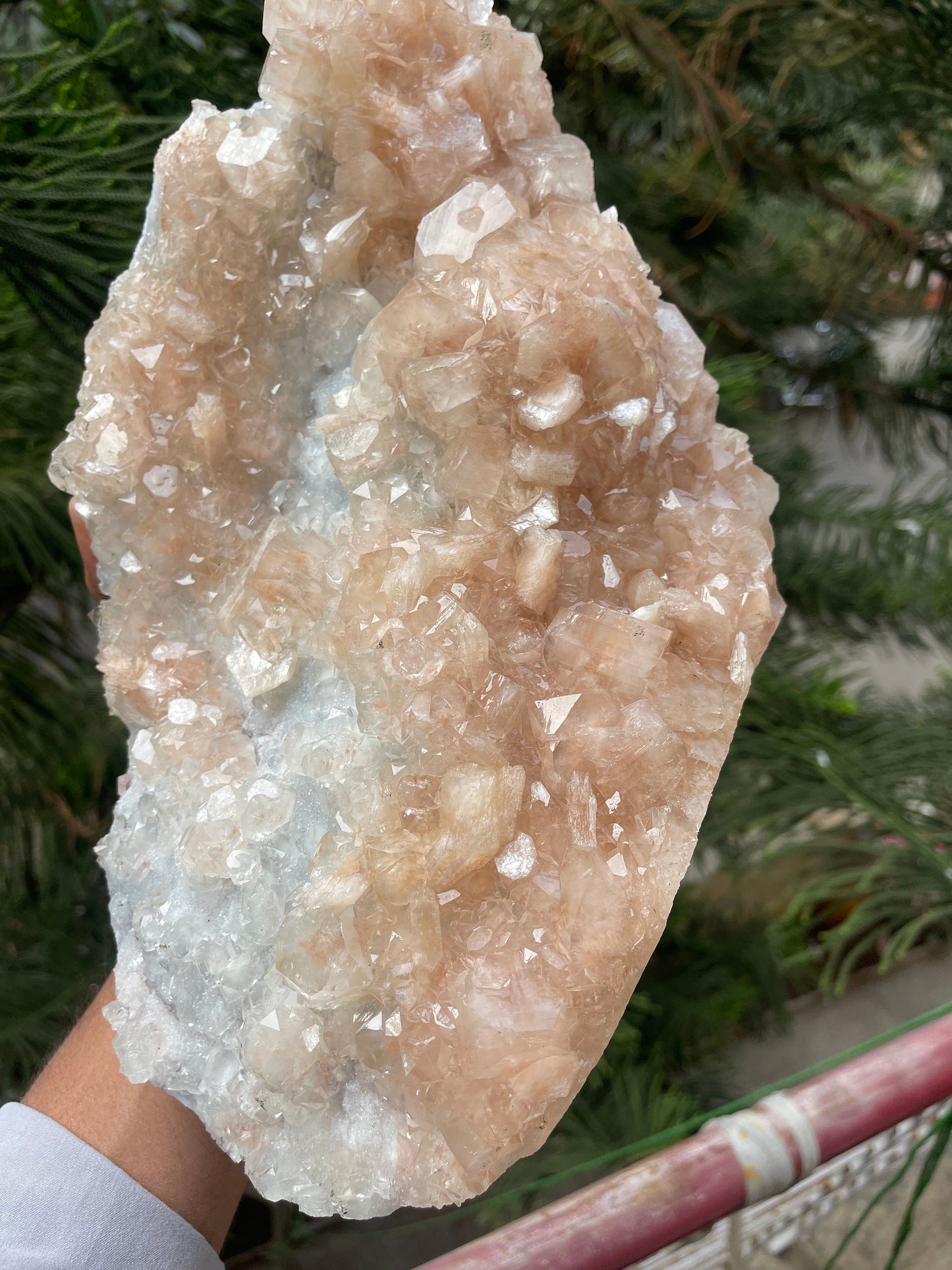 Pink apophyllite with stilbite on chalcedony base #pink