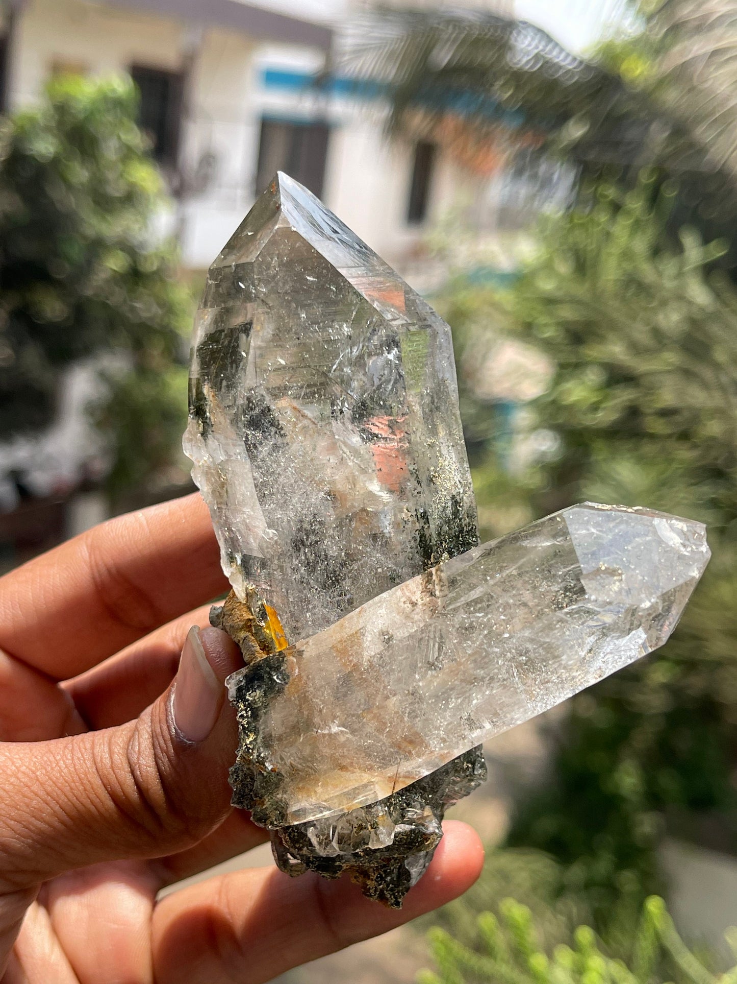 Twin Himalayan Chlorite Quartz Crystal with golden rutile
