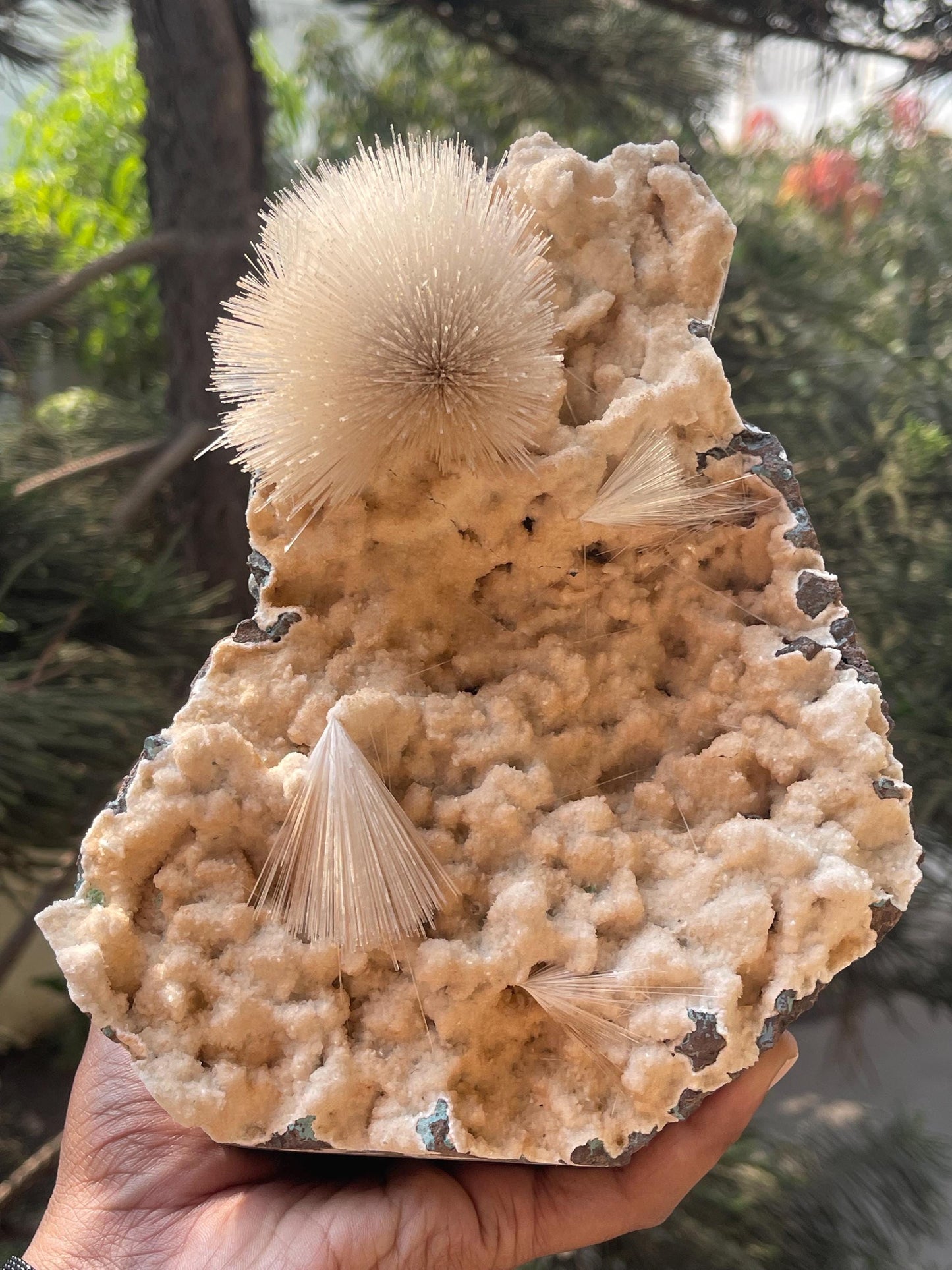 new find perfect mesolite flower on chalcedony matrix