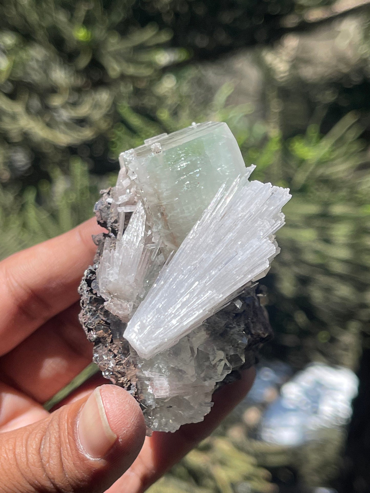Green apophyllite cube with scolecite spray