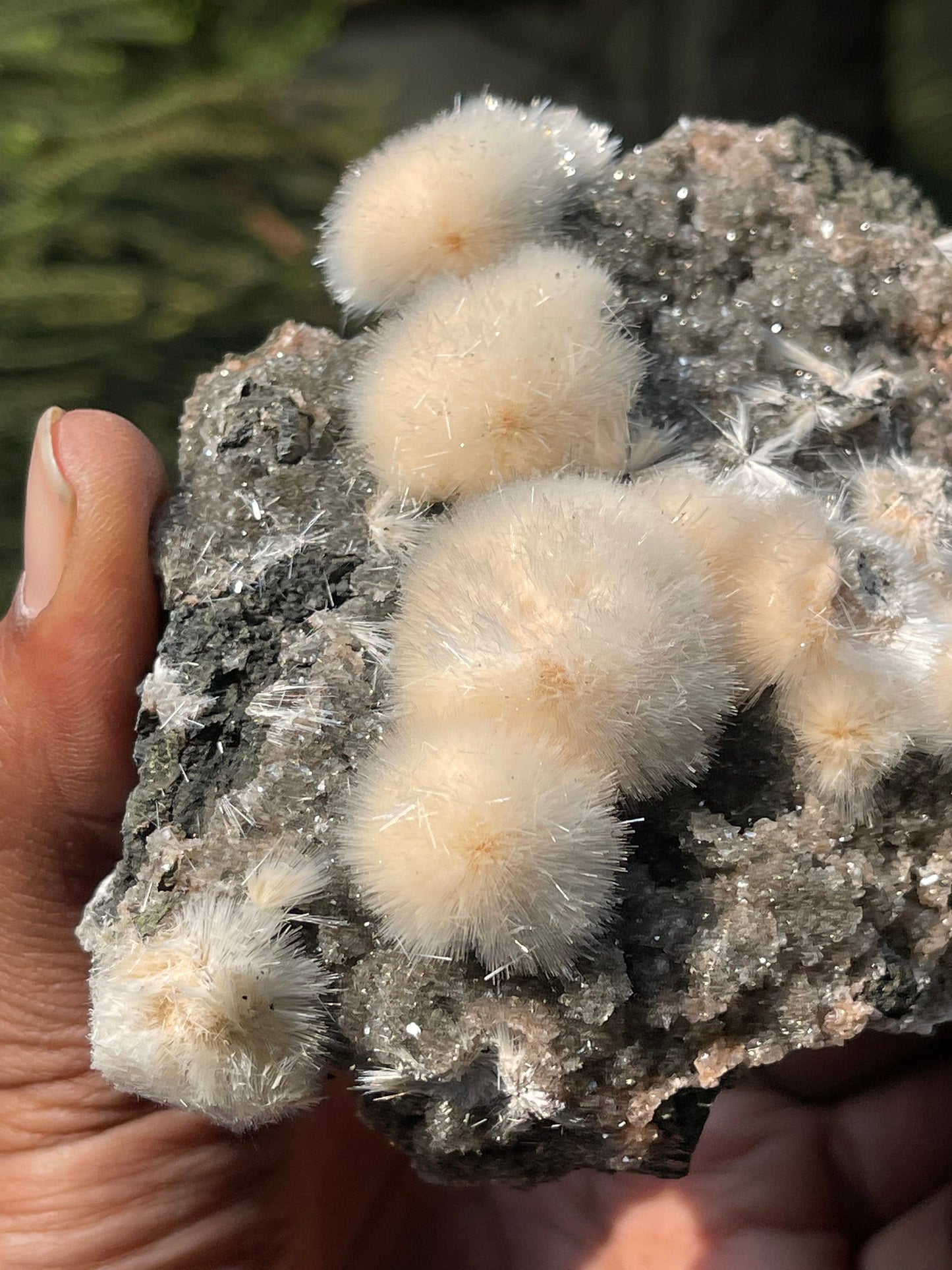 Natural orange mesolite balls on matrix new find