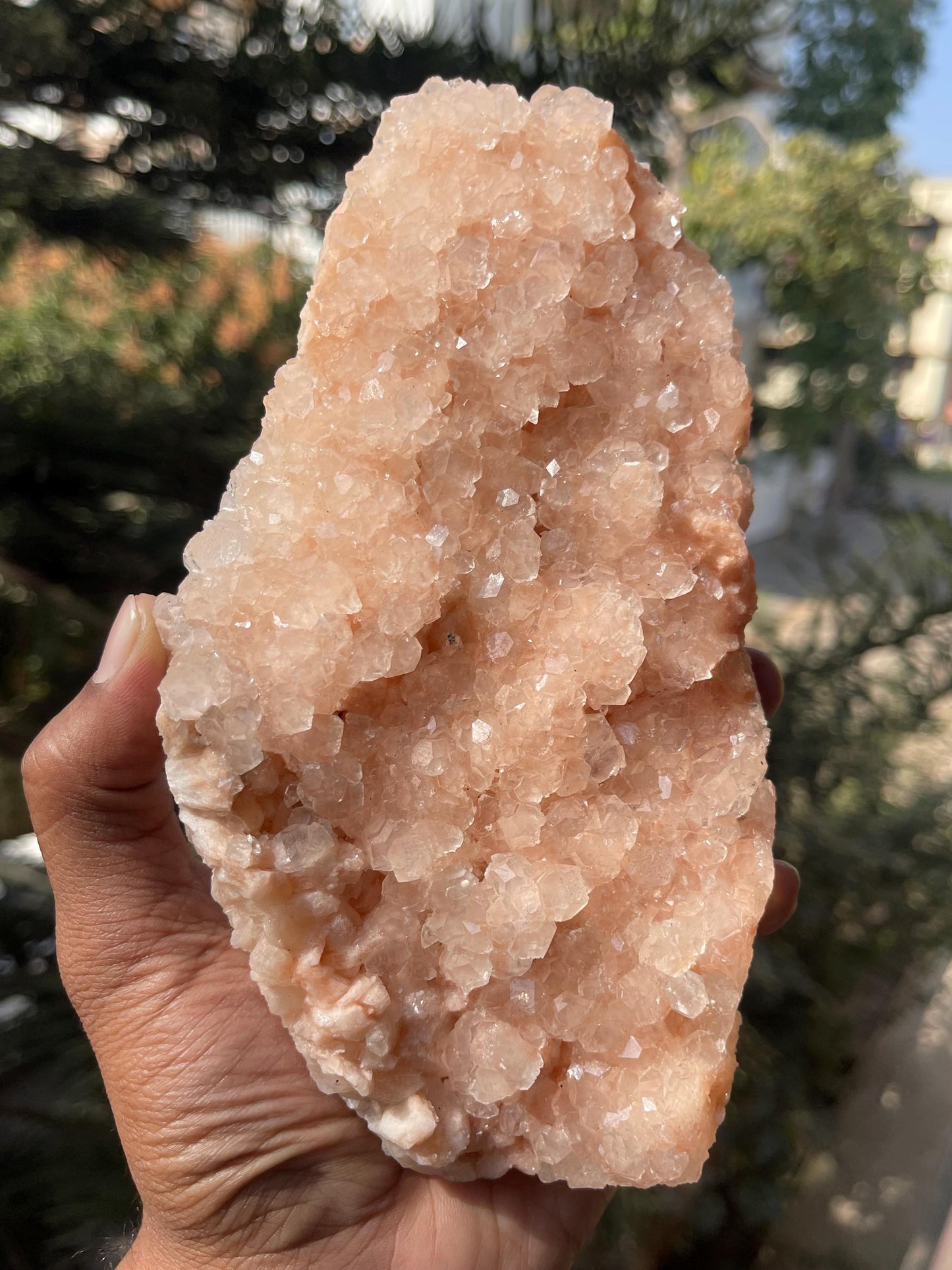 Glossy Pink Apophyllite Crystal – Stunning Natural Mineral Specimen
