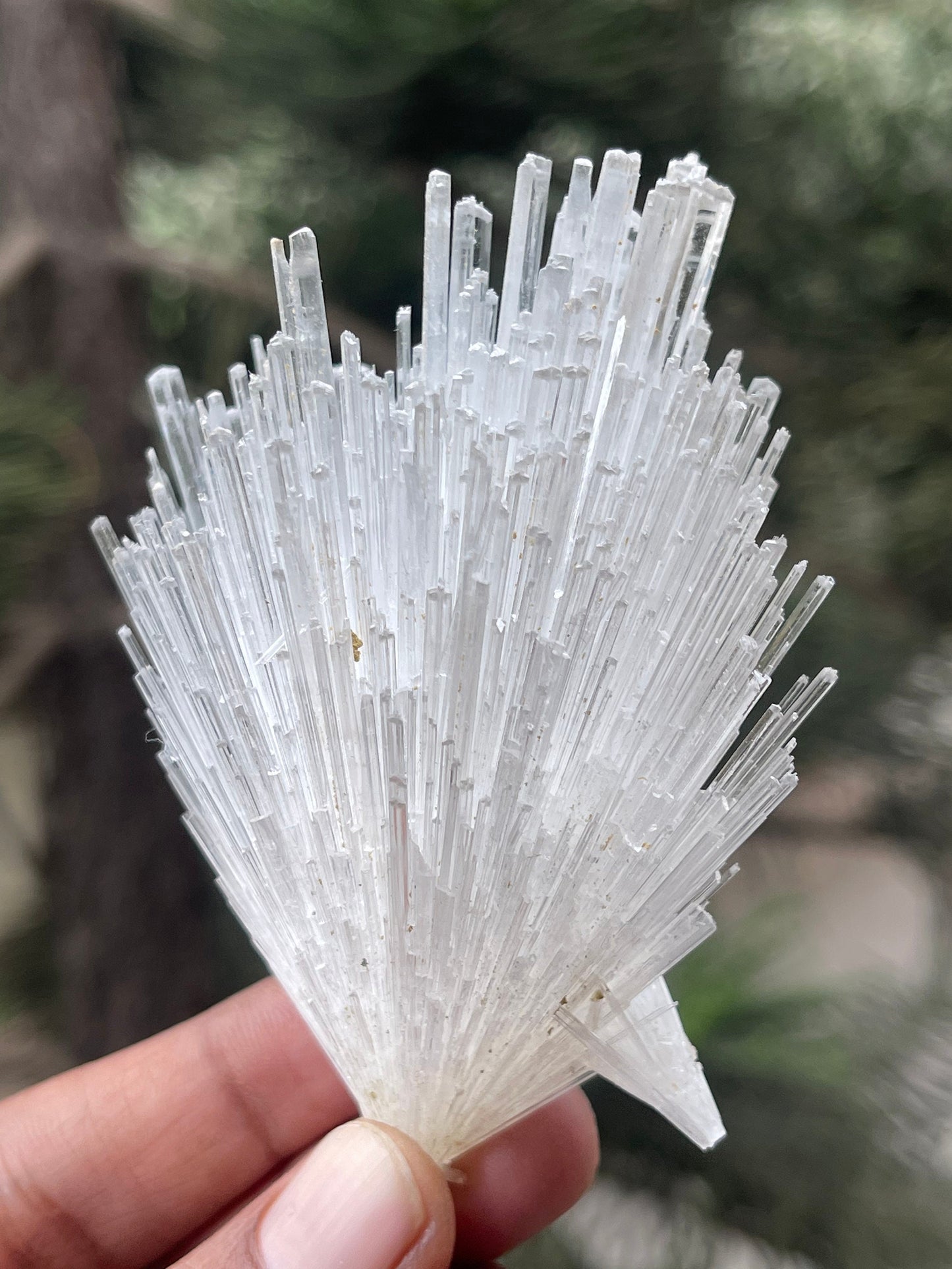 Glossy scolecite flower