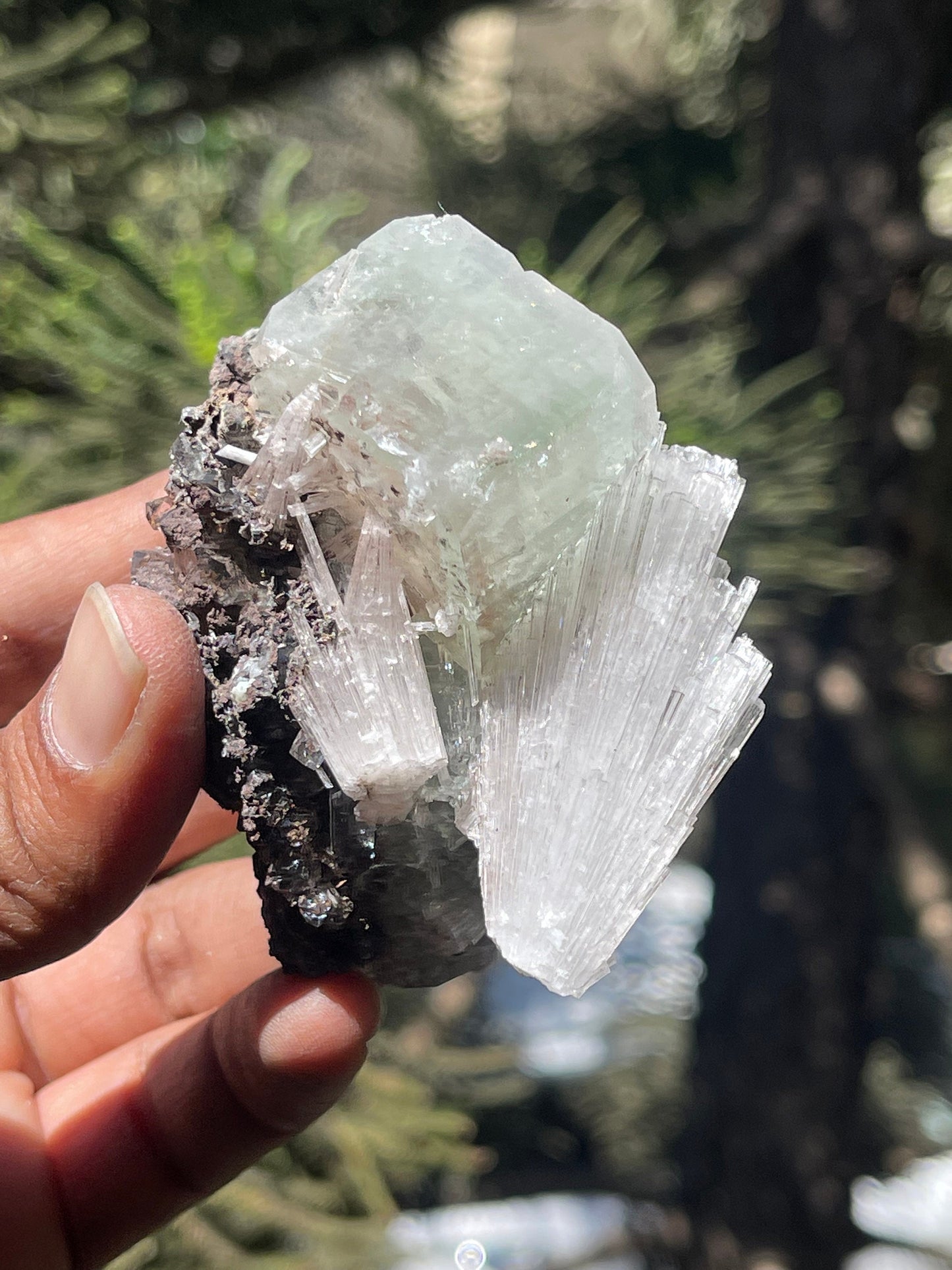 Green apophyllite cube with scolecite spray