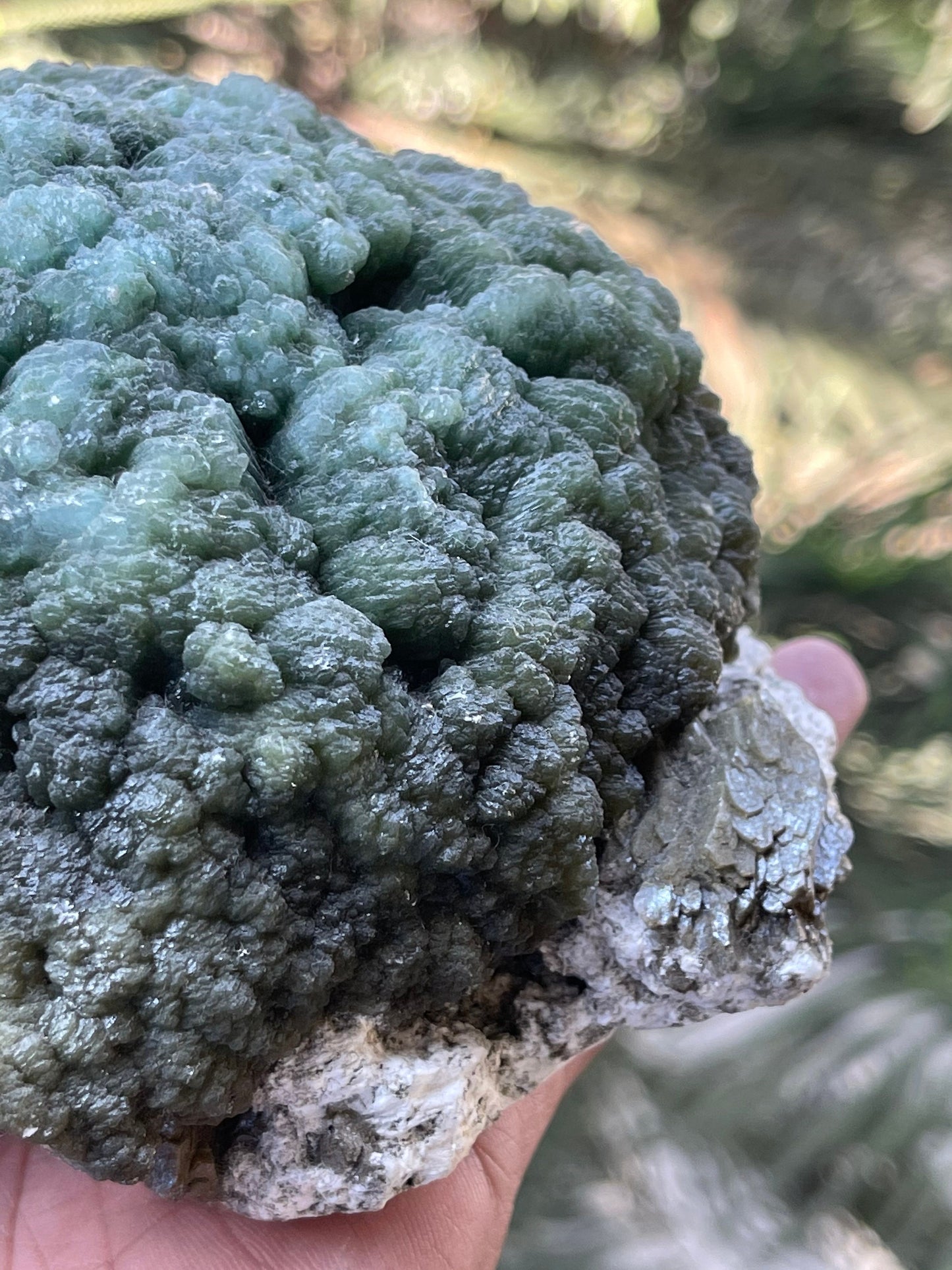 Rare specimens green stilbite on mordenite base